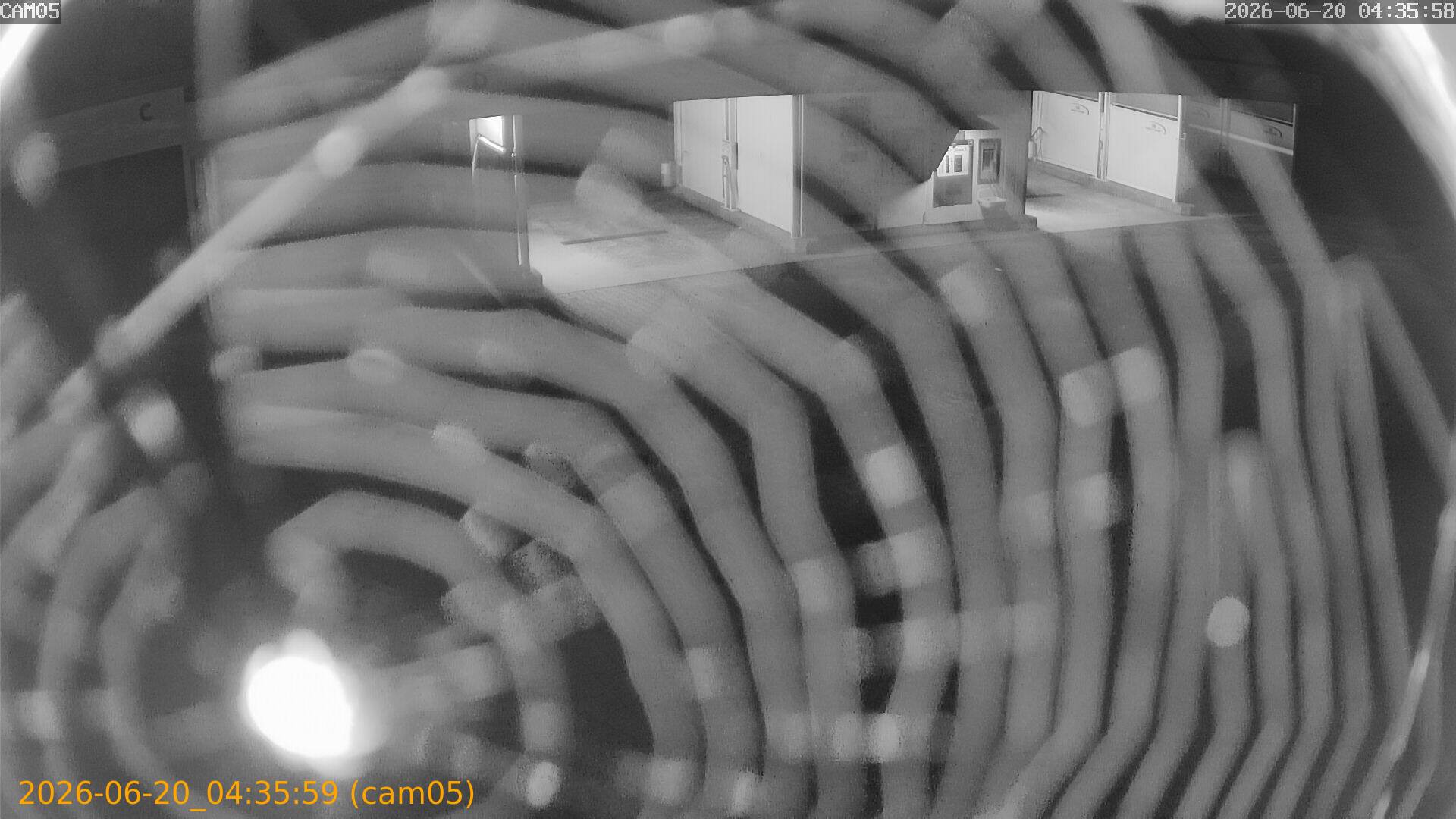 202606200435
