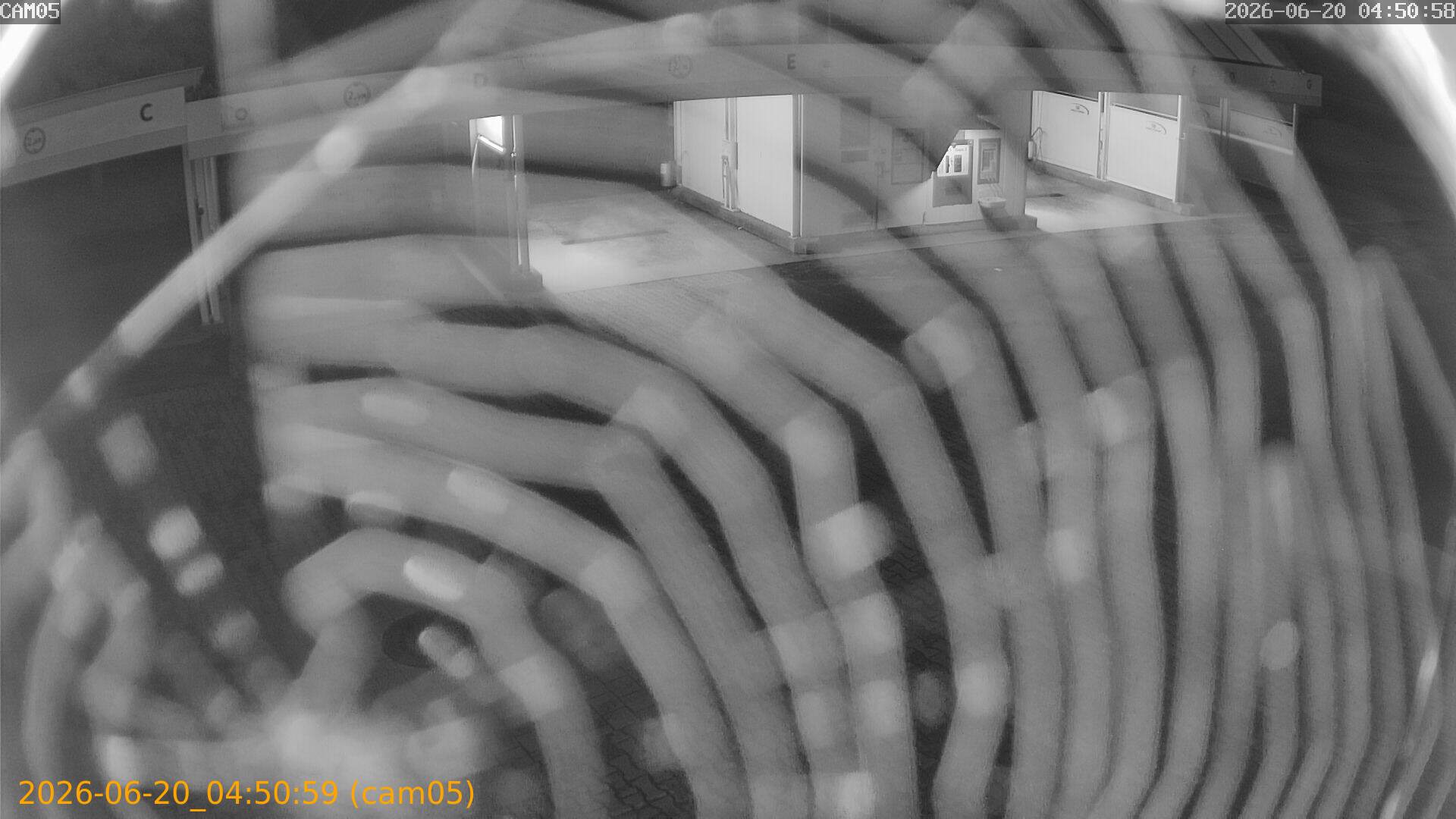 202606200450