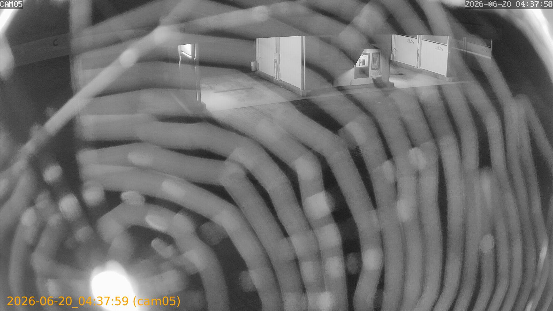 thumbnail_202606200437