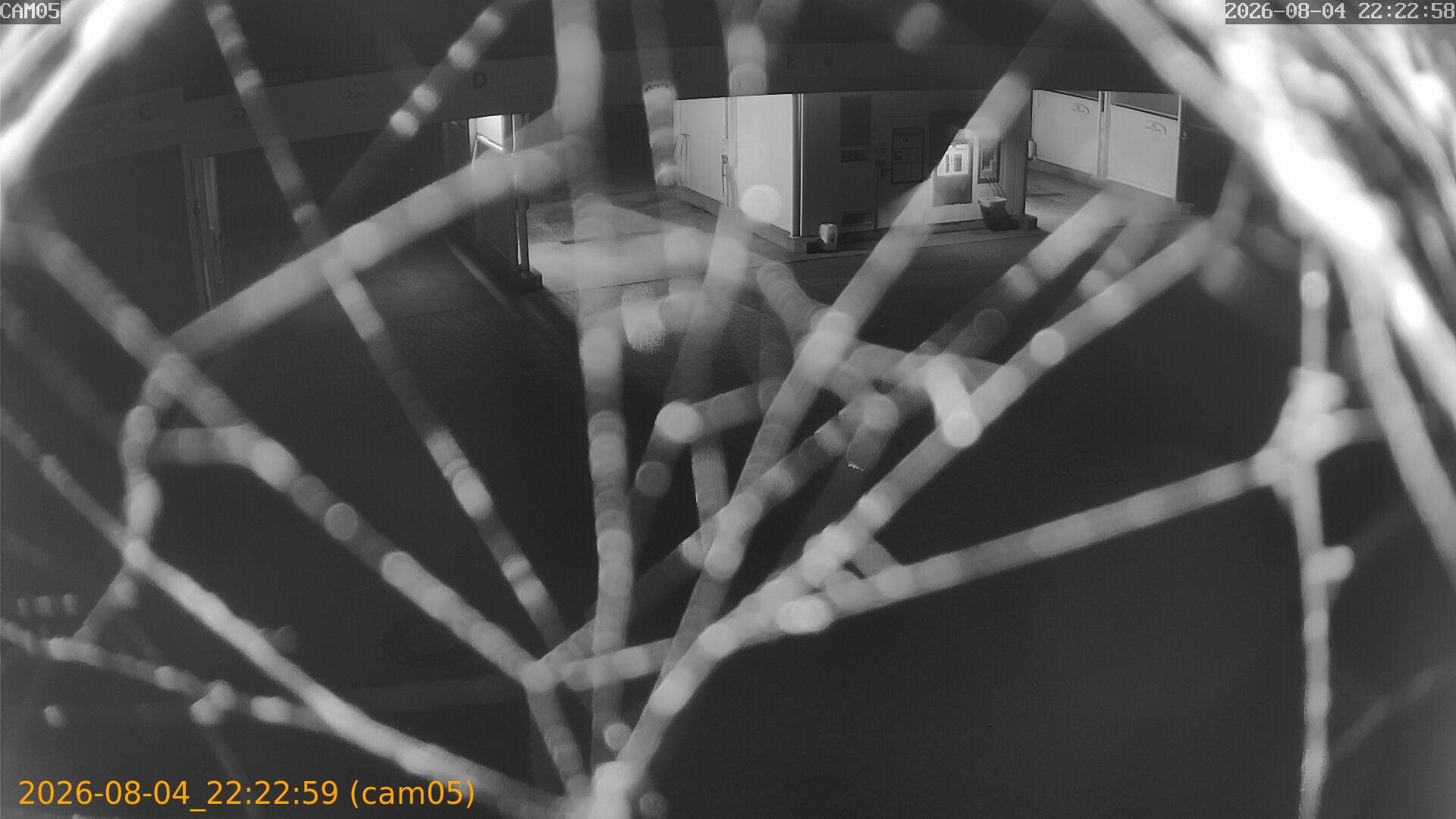 202608042222