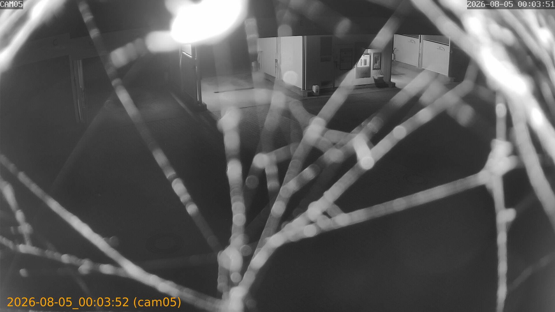 thumbnail_20260805000352