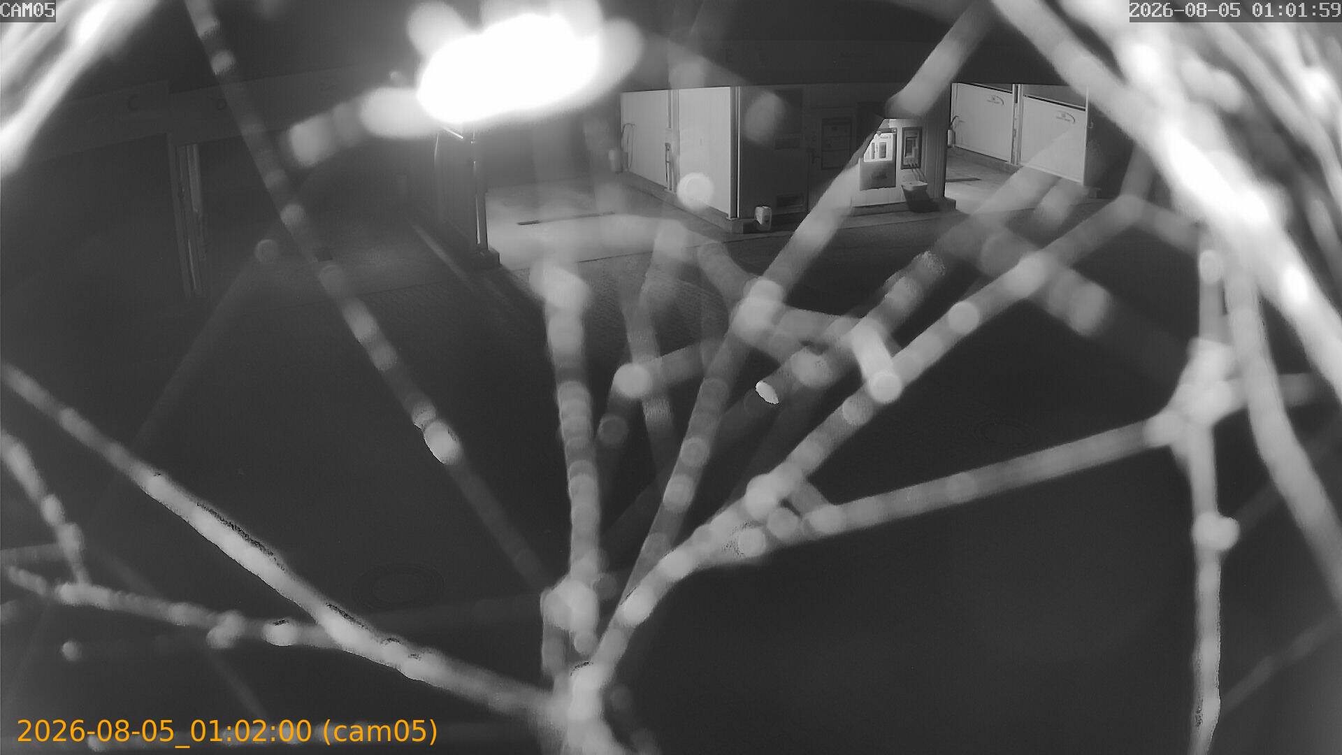 thumbnail_20260805010200