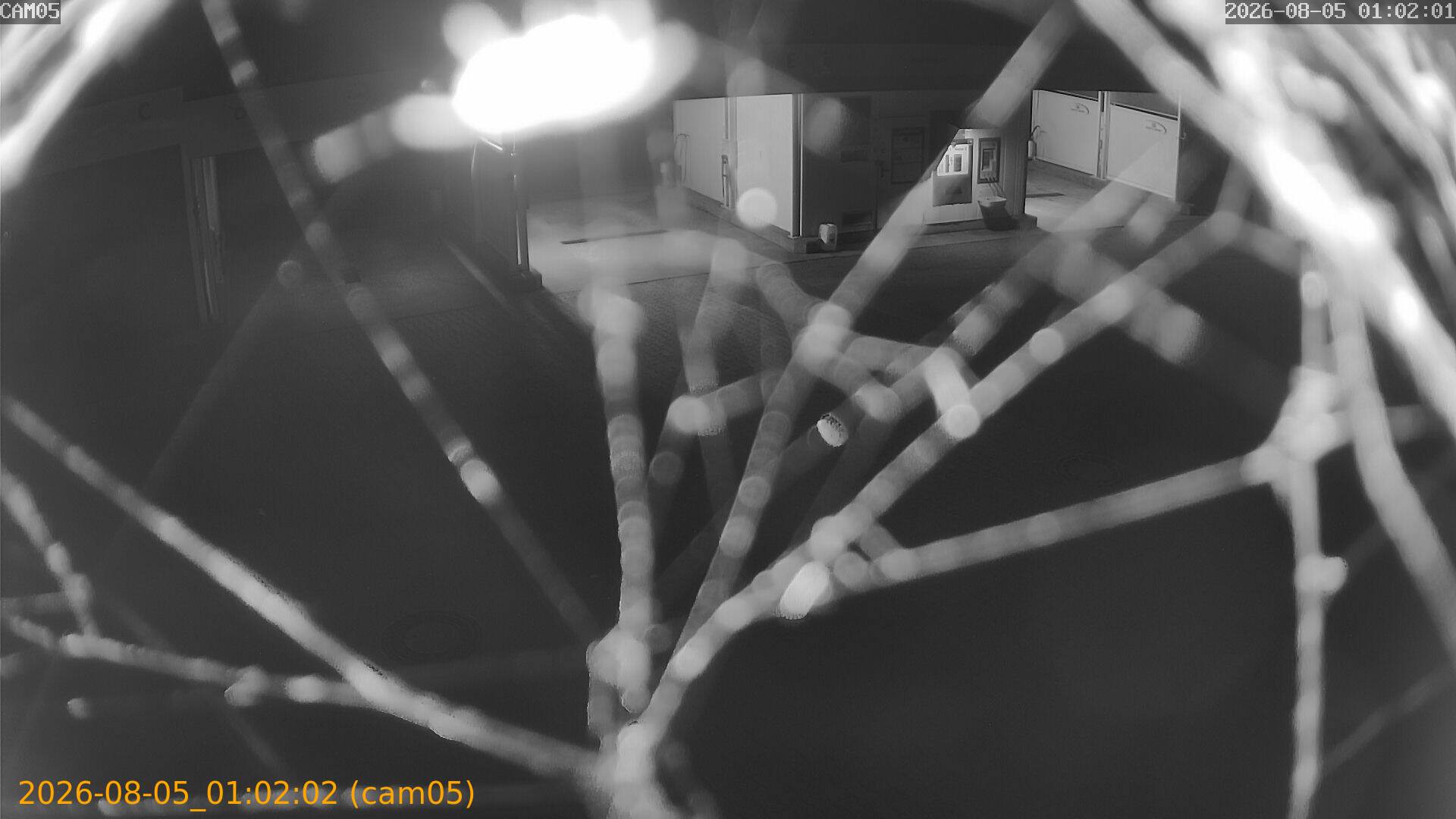 thumbnail_20260805010202