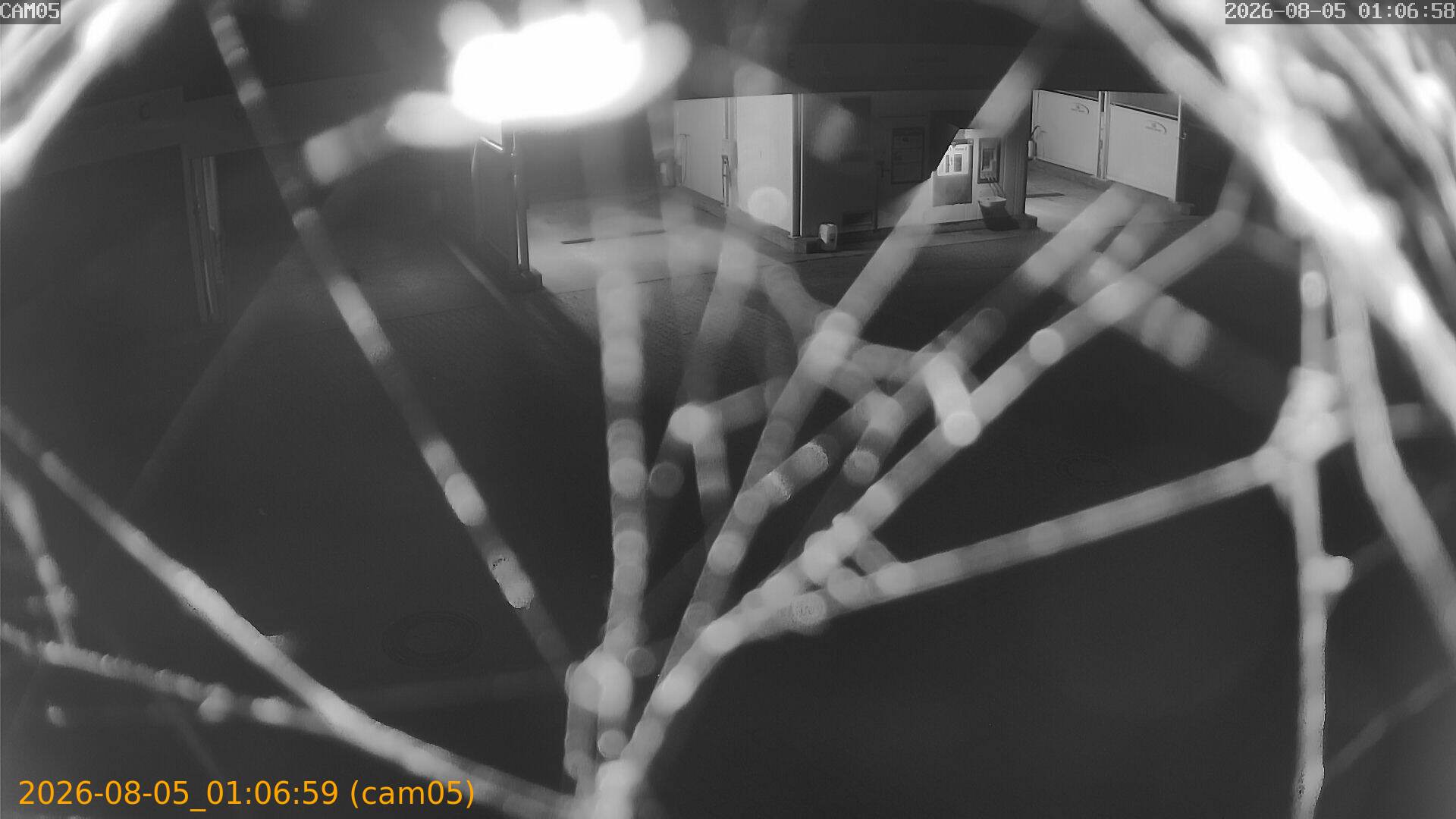 thumbnail_202608050106