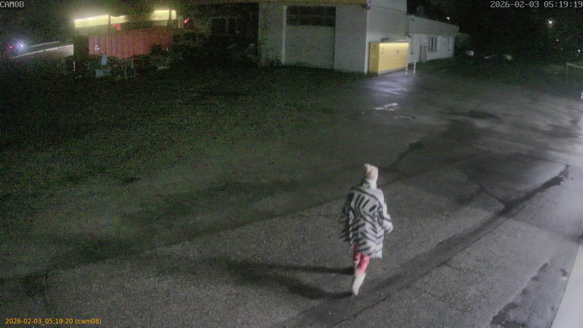 thumbnail_20260203051920