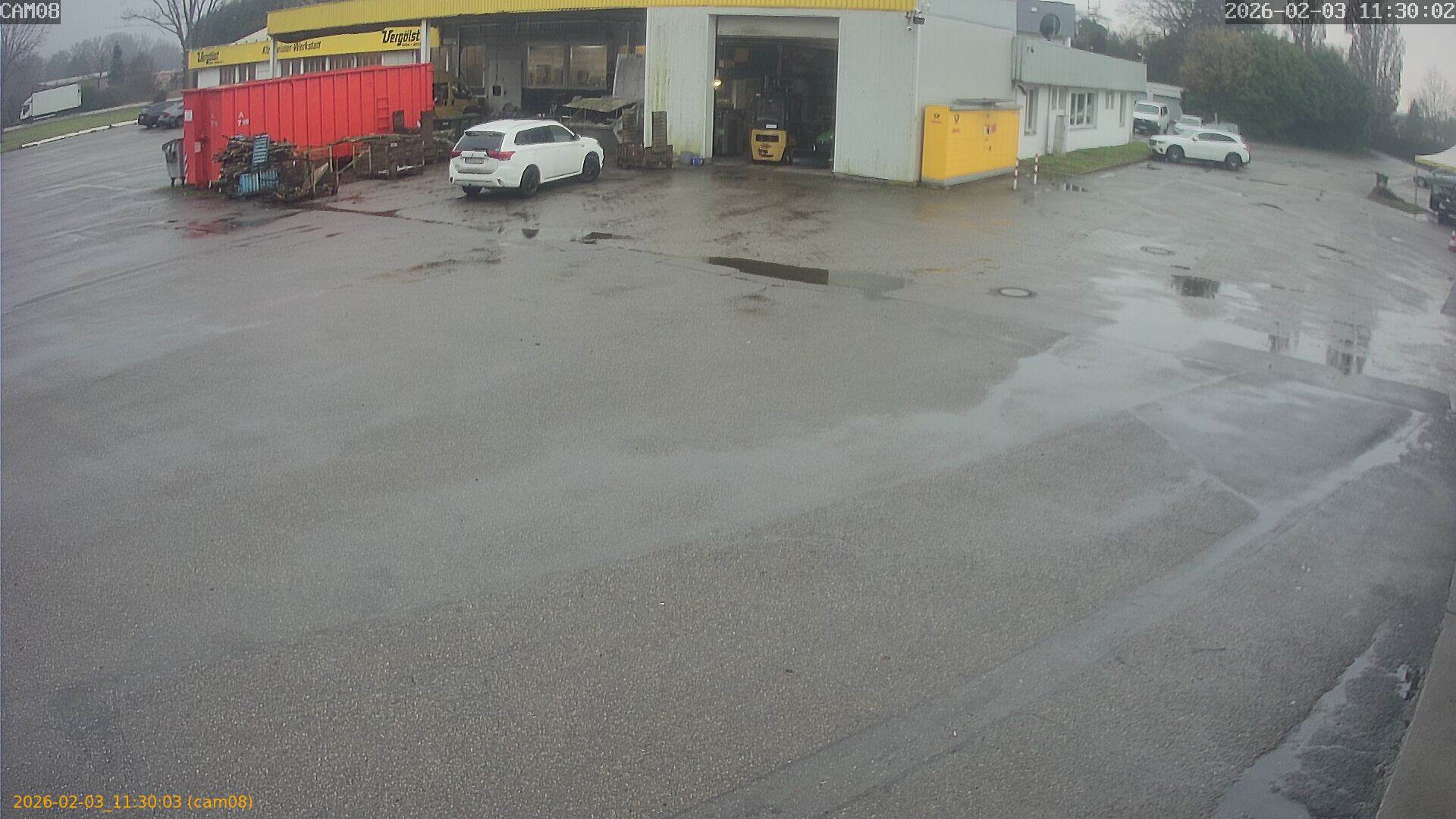 thumbnail_20260203113003