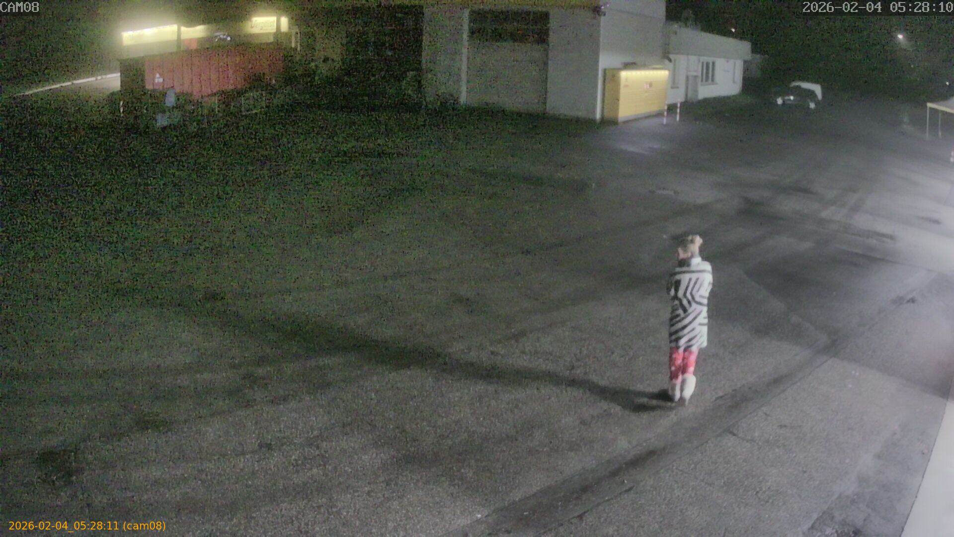 thumbnail_20260204052811