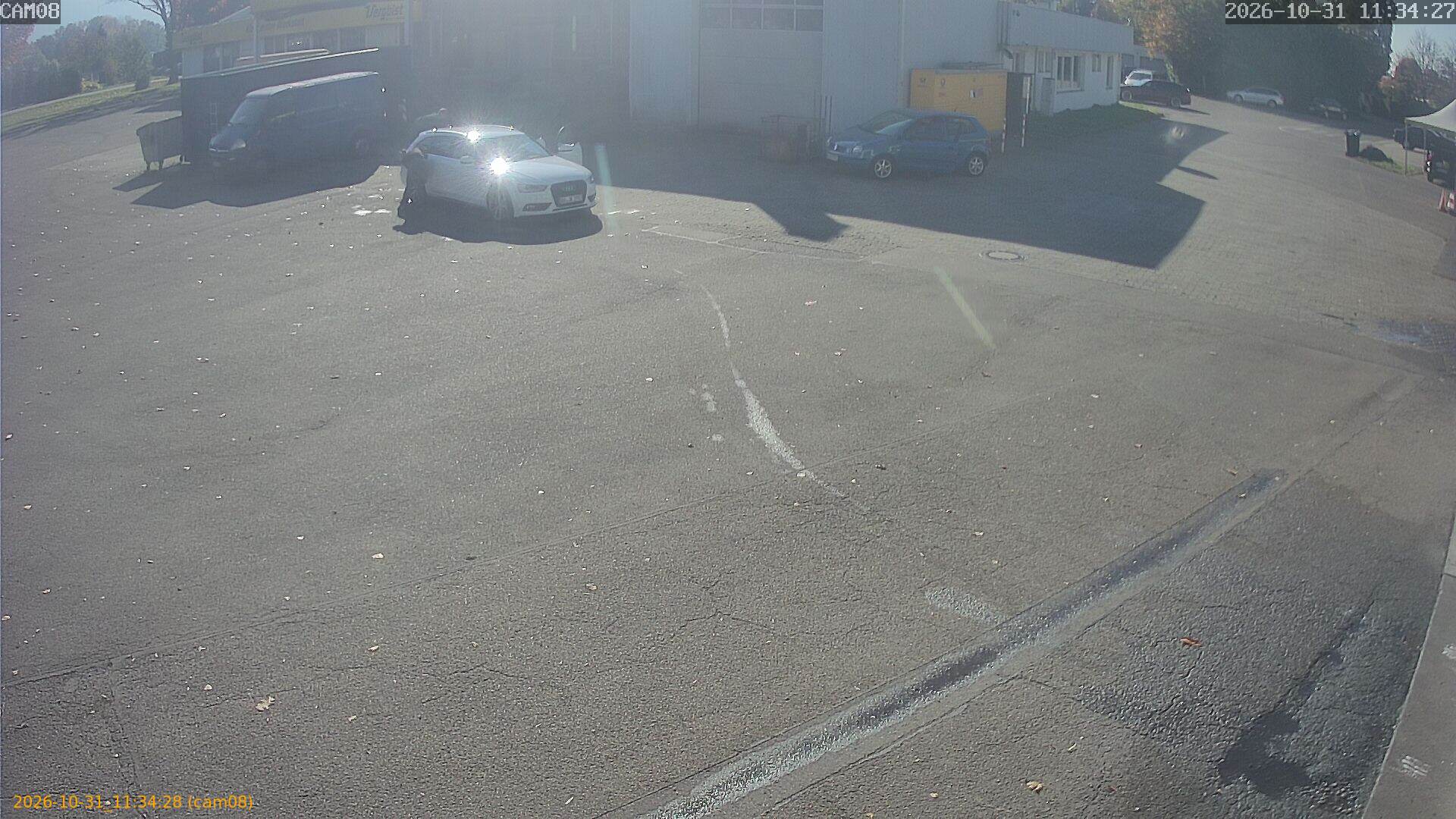 20261031113428