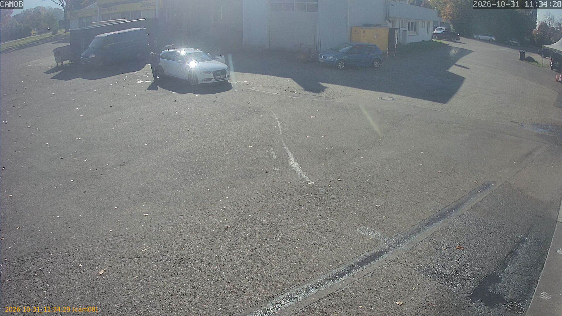 20261031113429