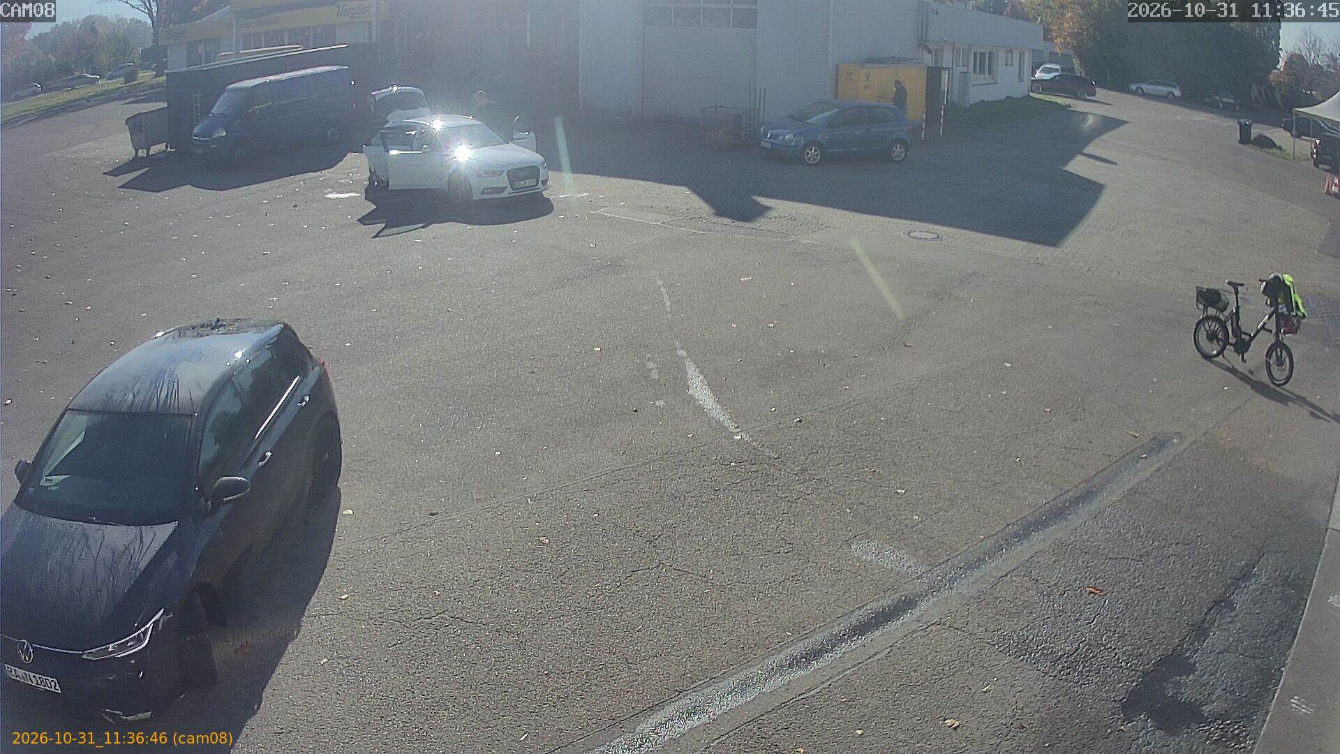 20261031113646