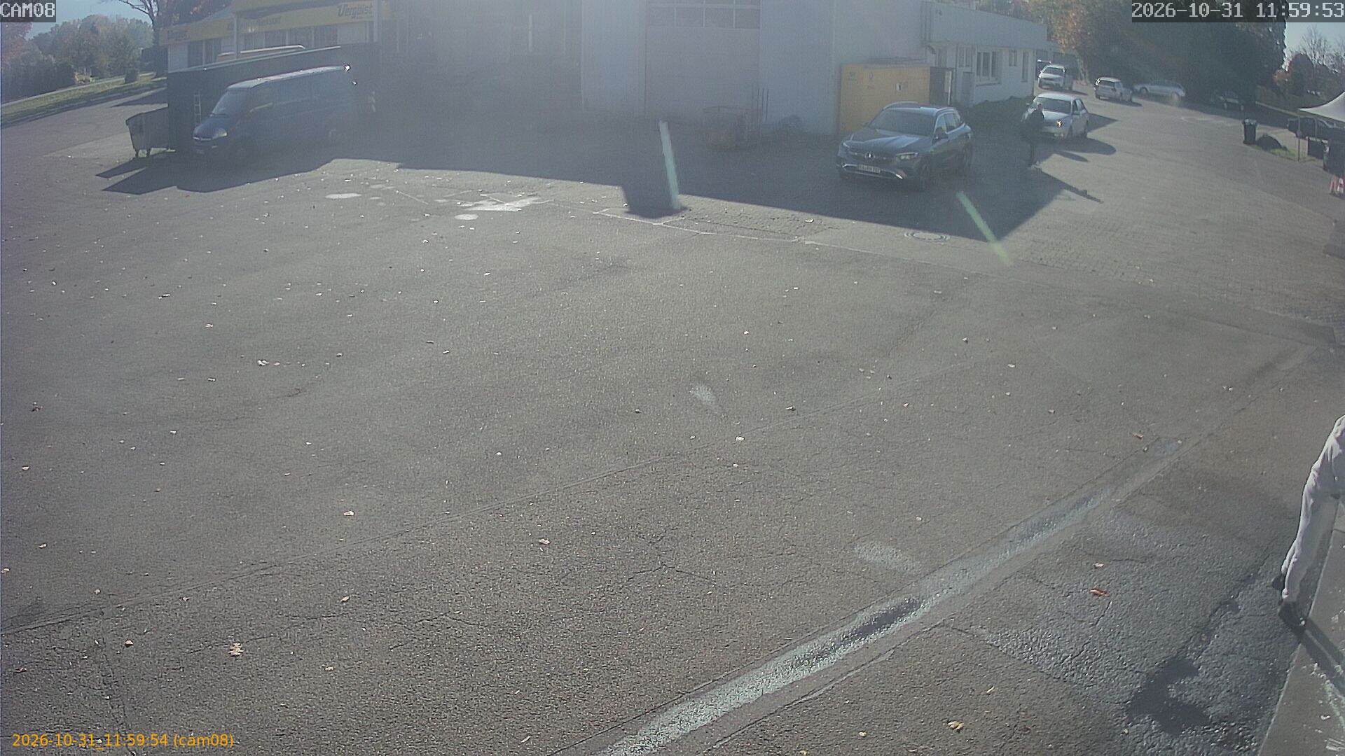 20261031115954