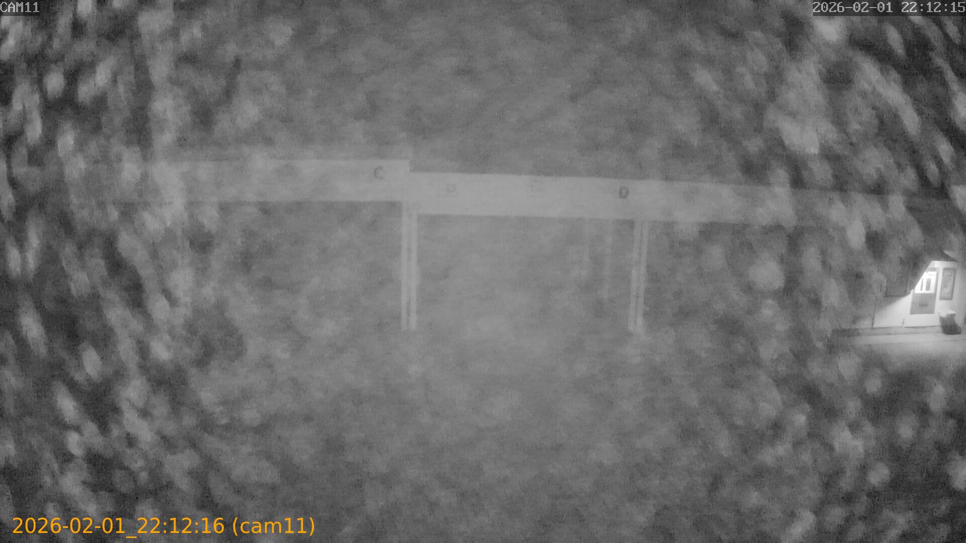 thumbnail_20260201221216