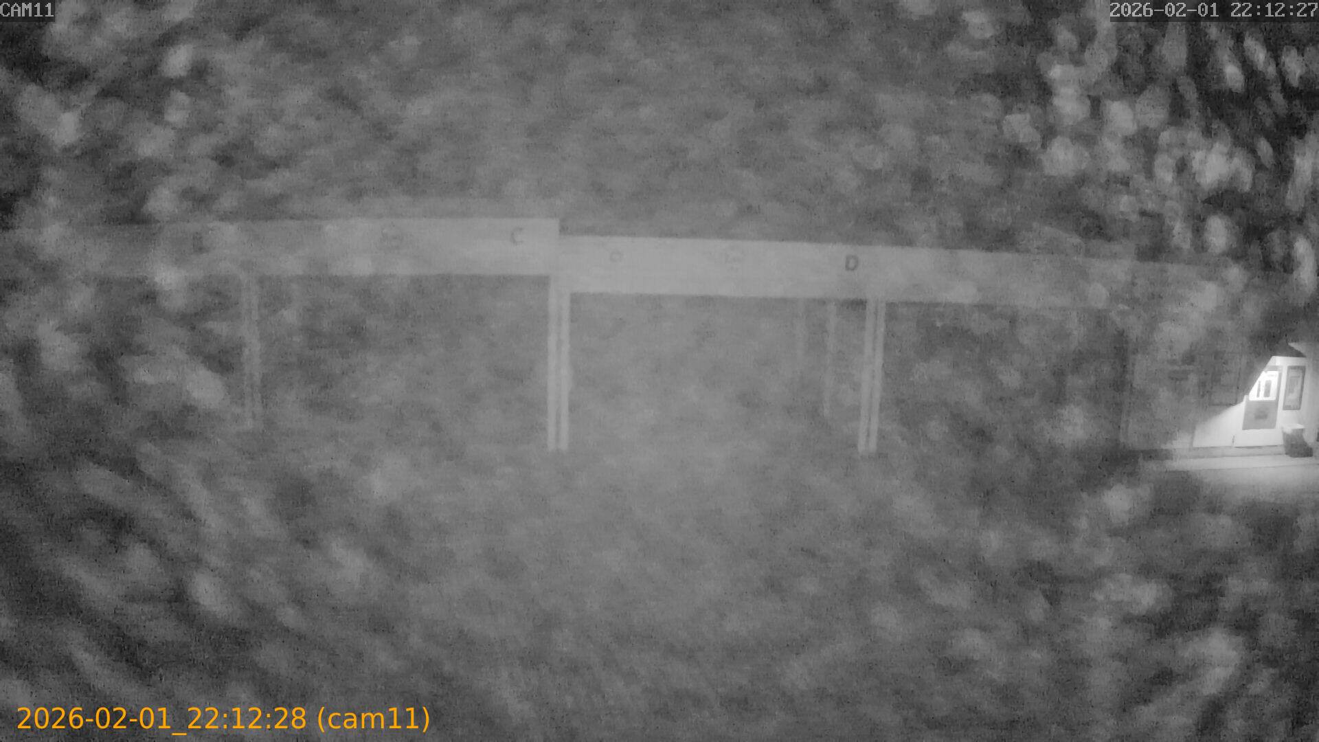 thumbnail_20260201221228