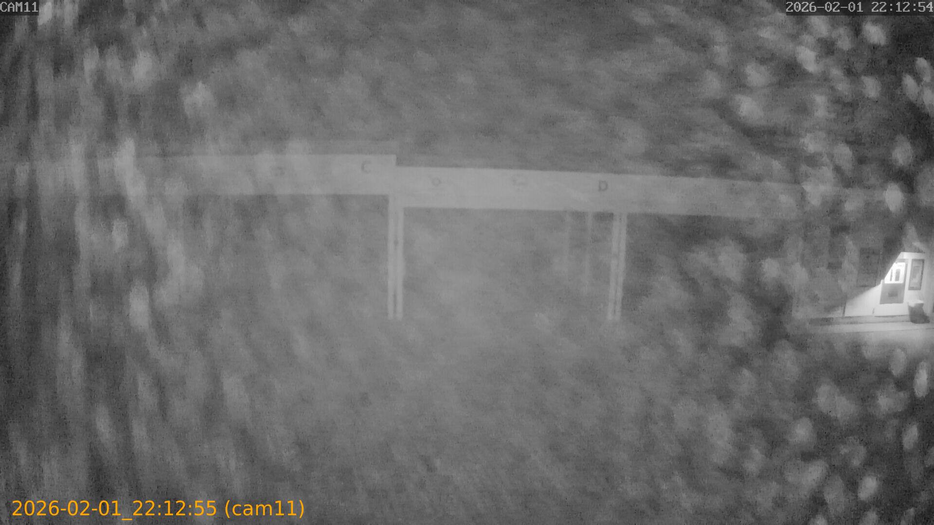 thumbnail_20260201221255