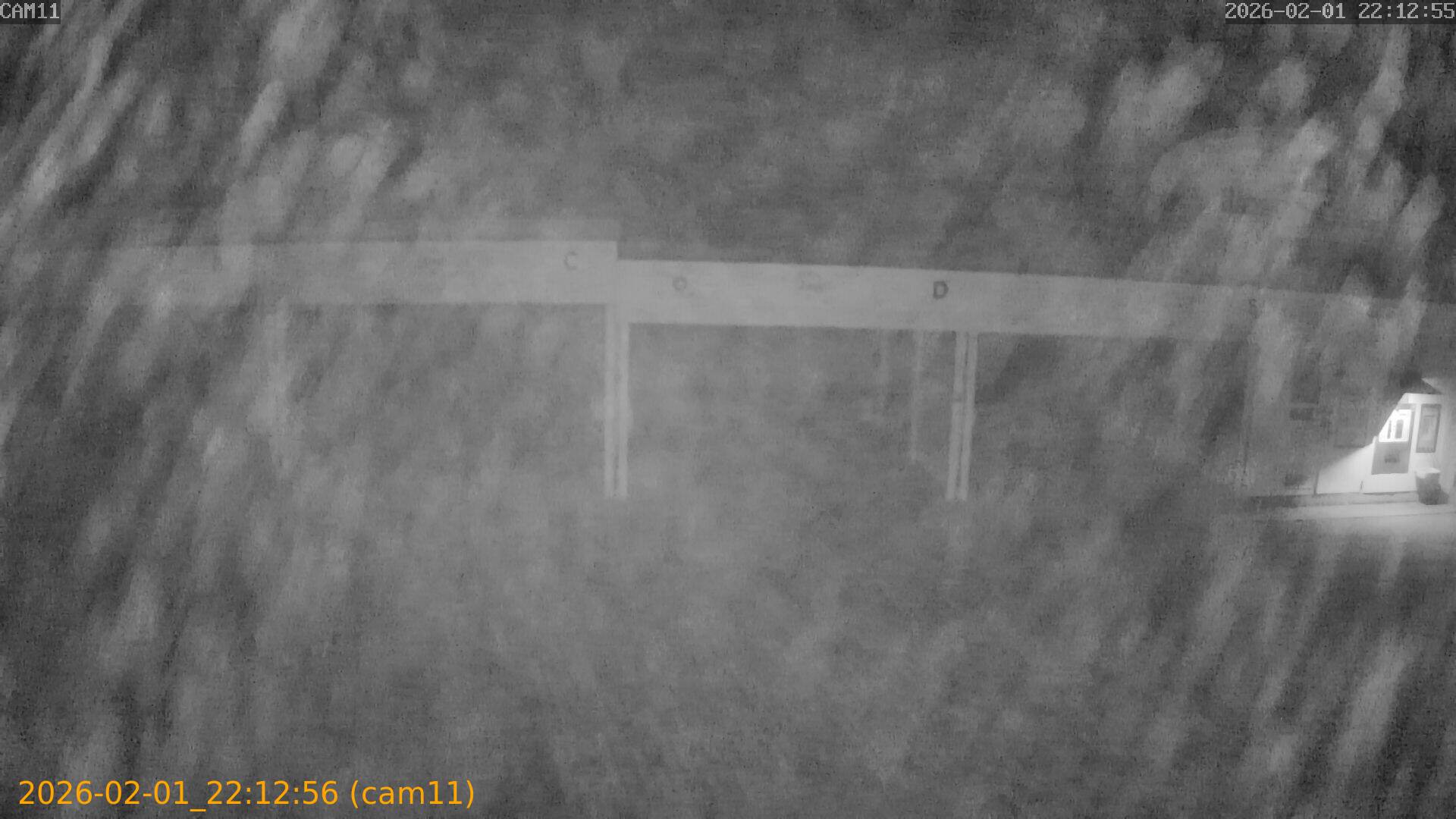 thumbnail_20260201221256