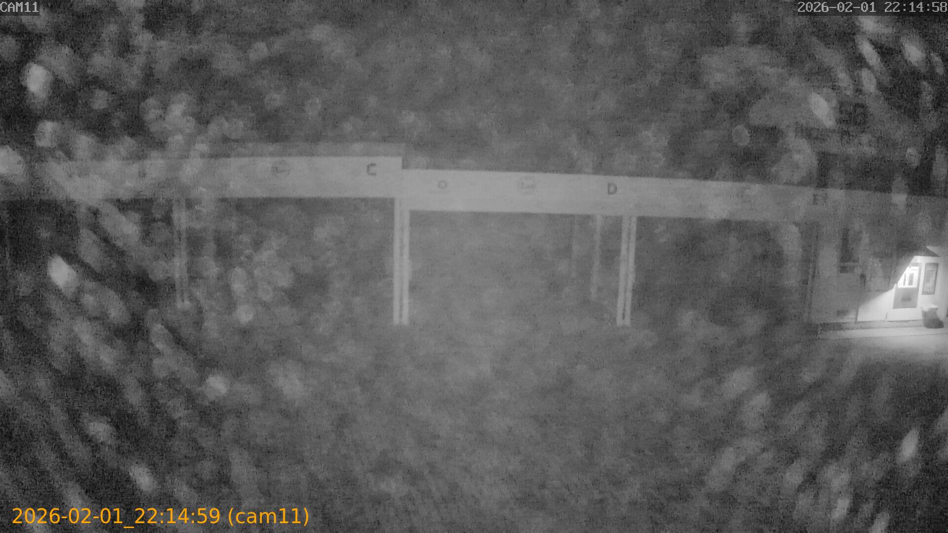 thumbnail_20260201221459