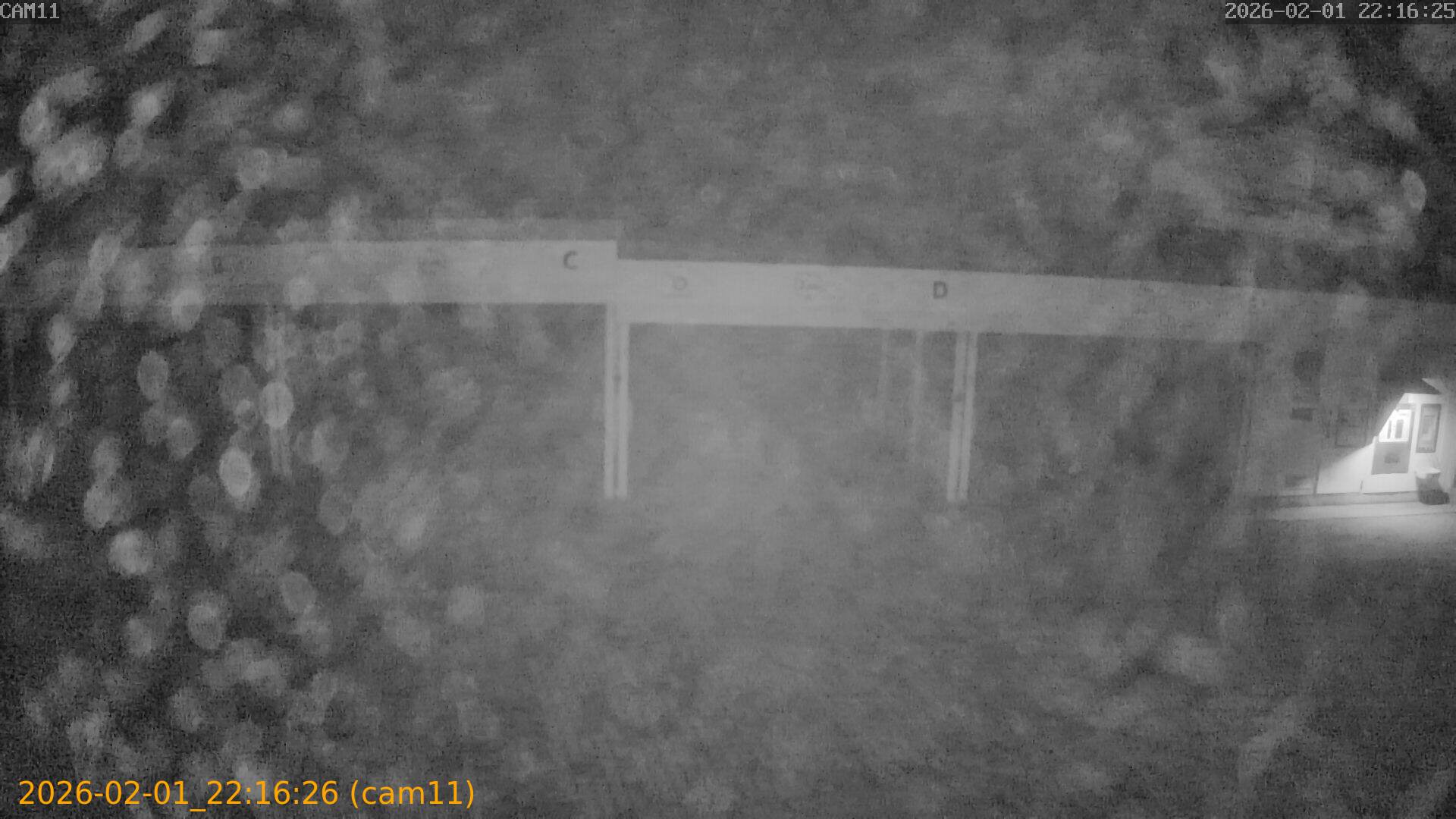 thumbnail_20260201221626