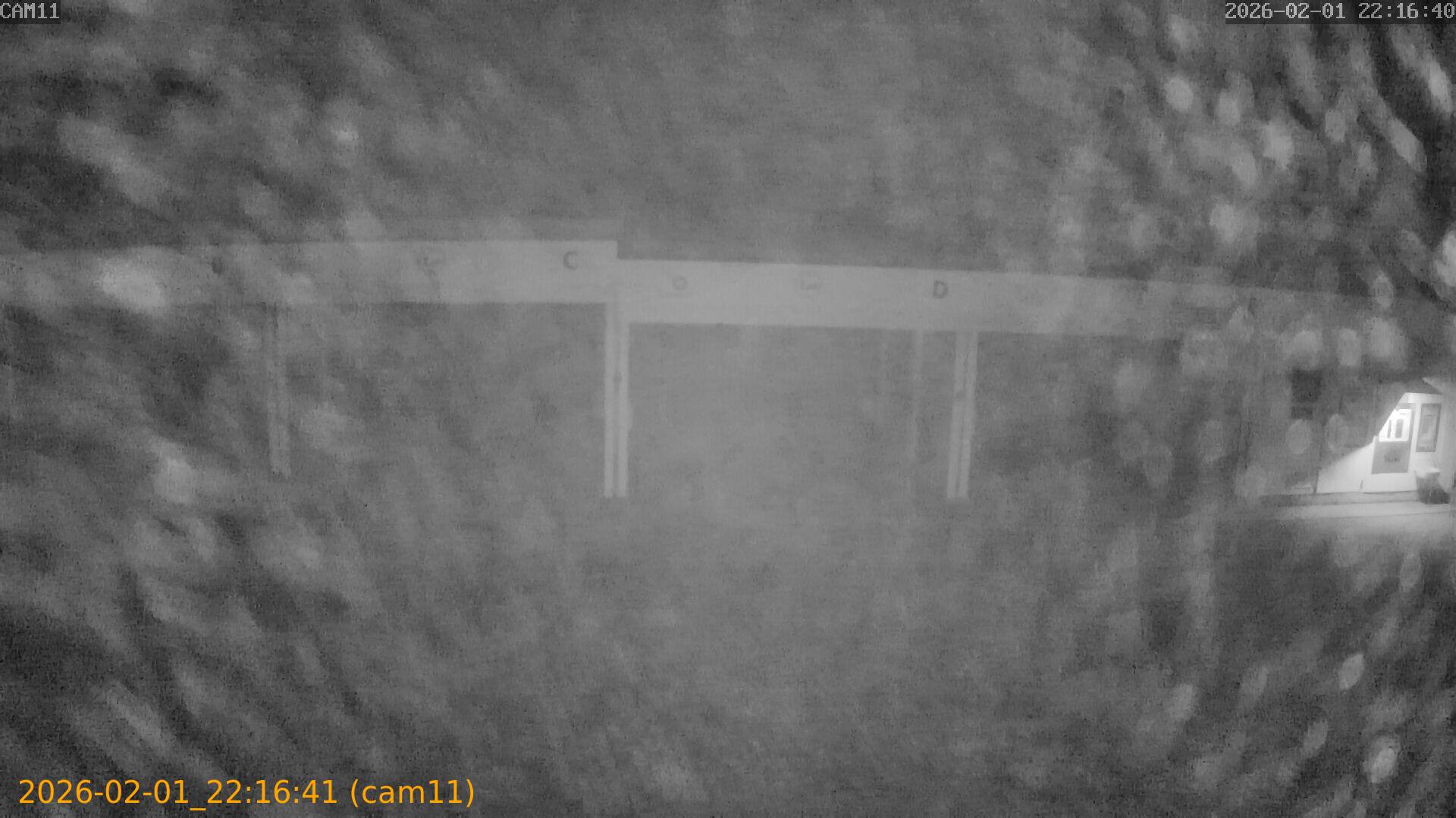 thumbnail_20260201221641