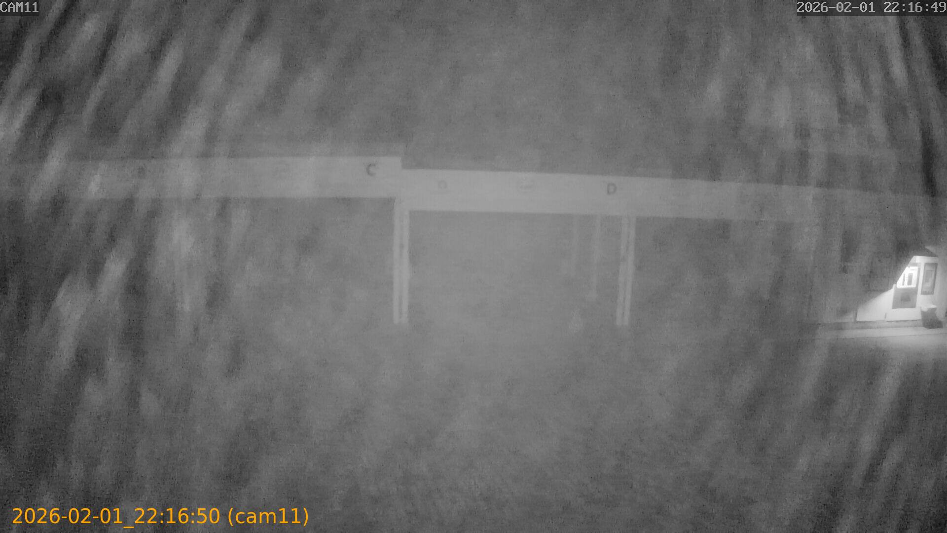 thumbnail_20260201221650