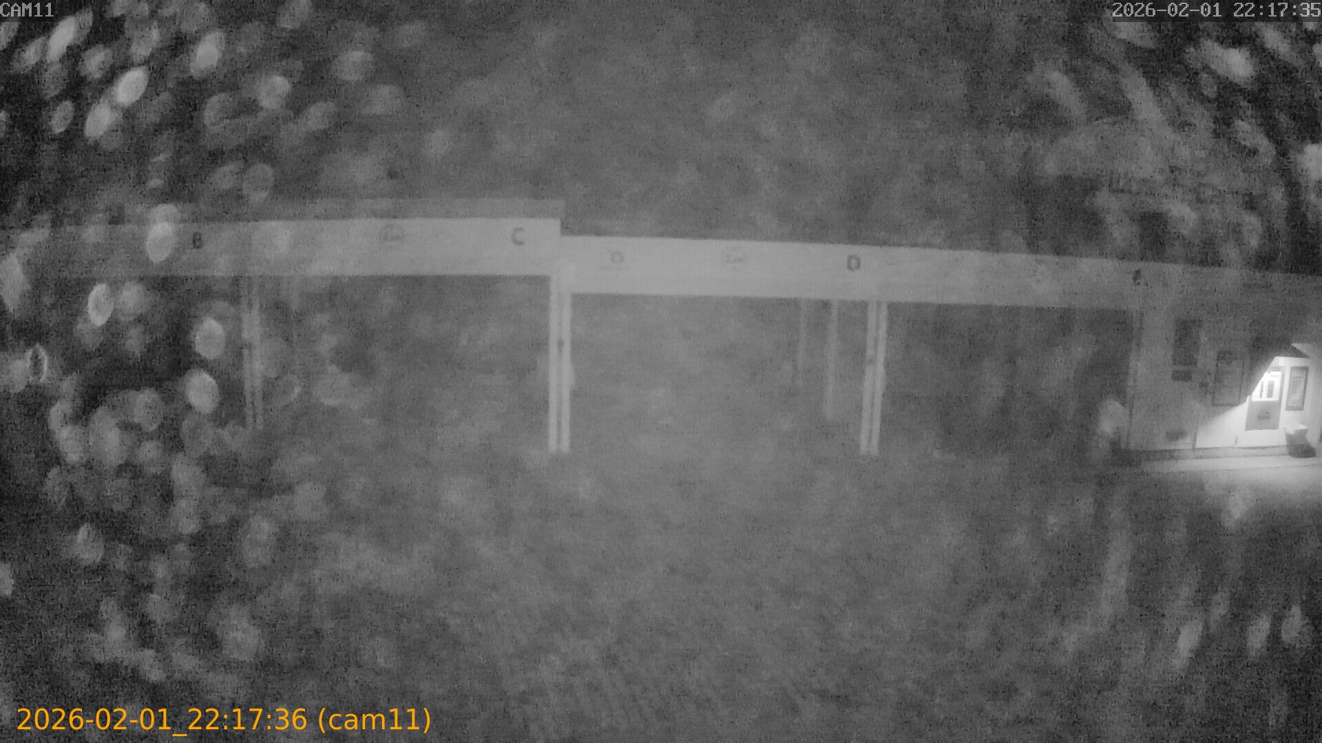 thumbnail_20260201221736