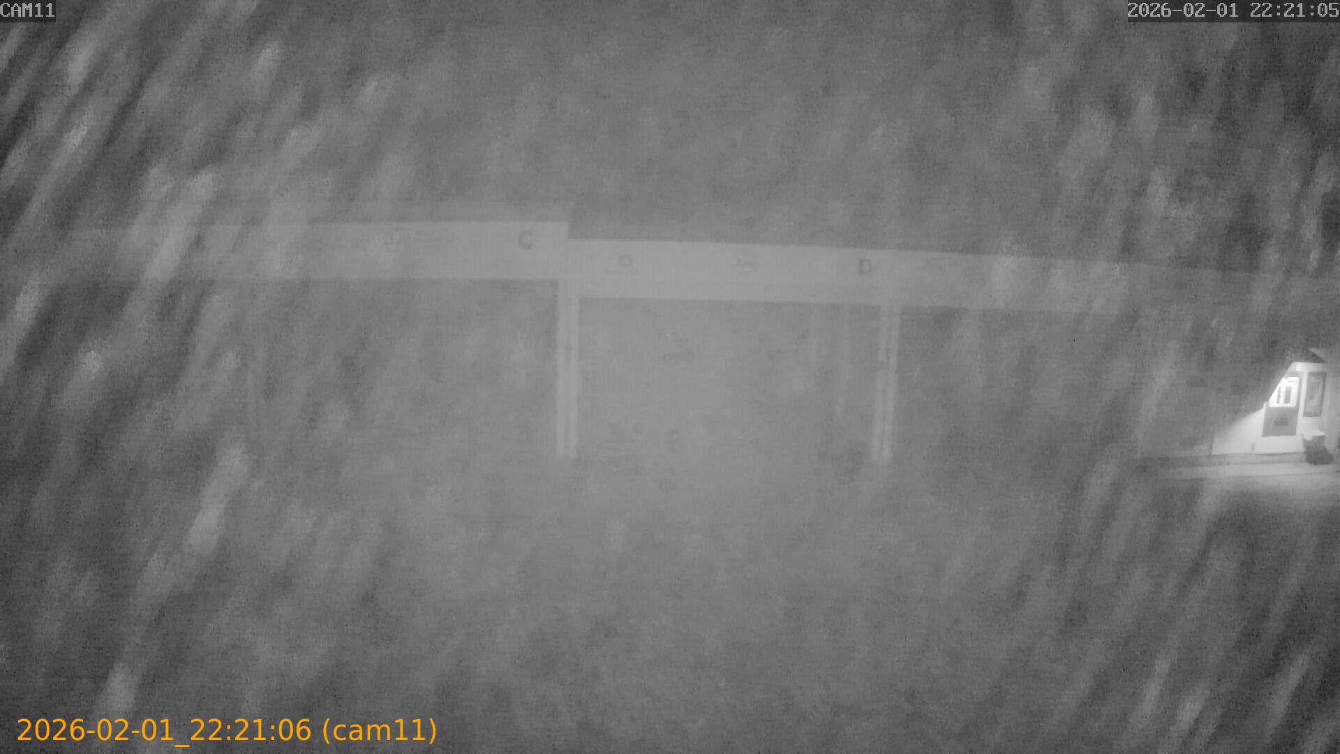 thumbnail_20260201222106