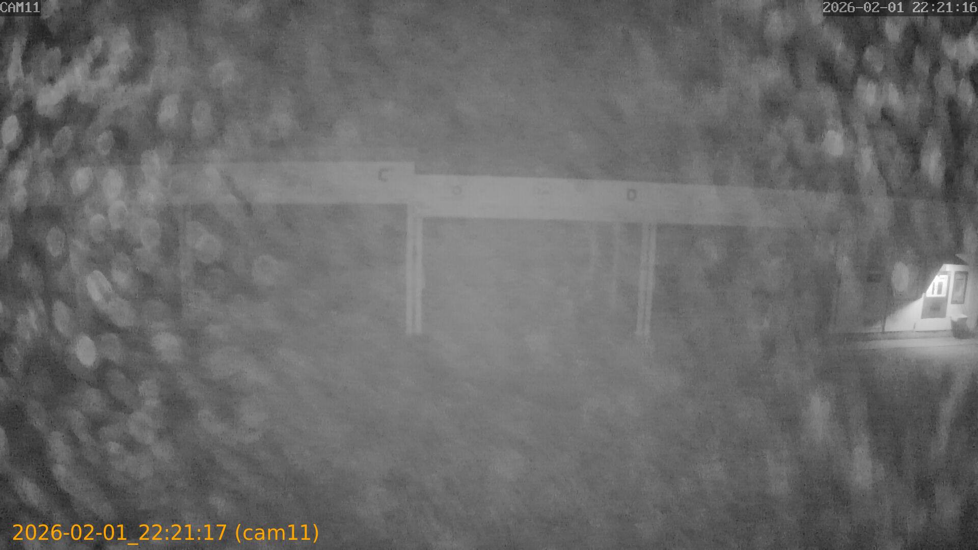 thumbnail_20260201222117