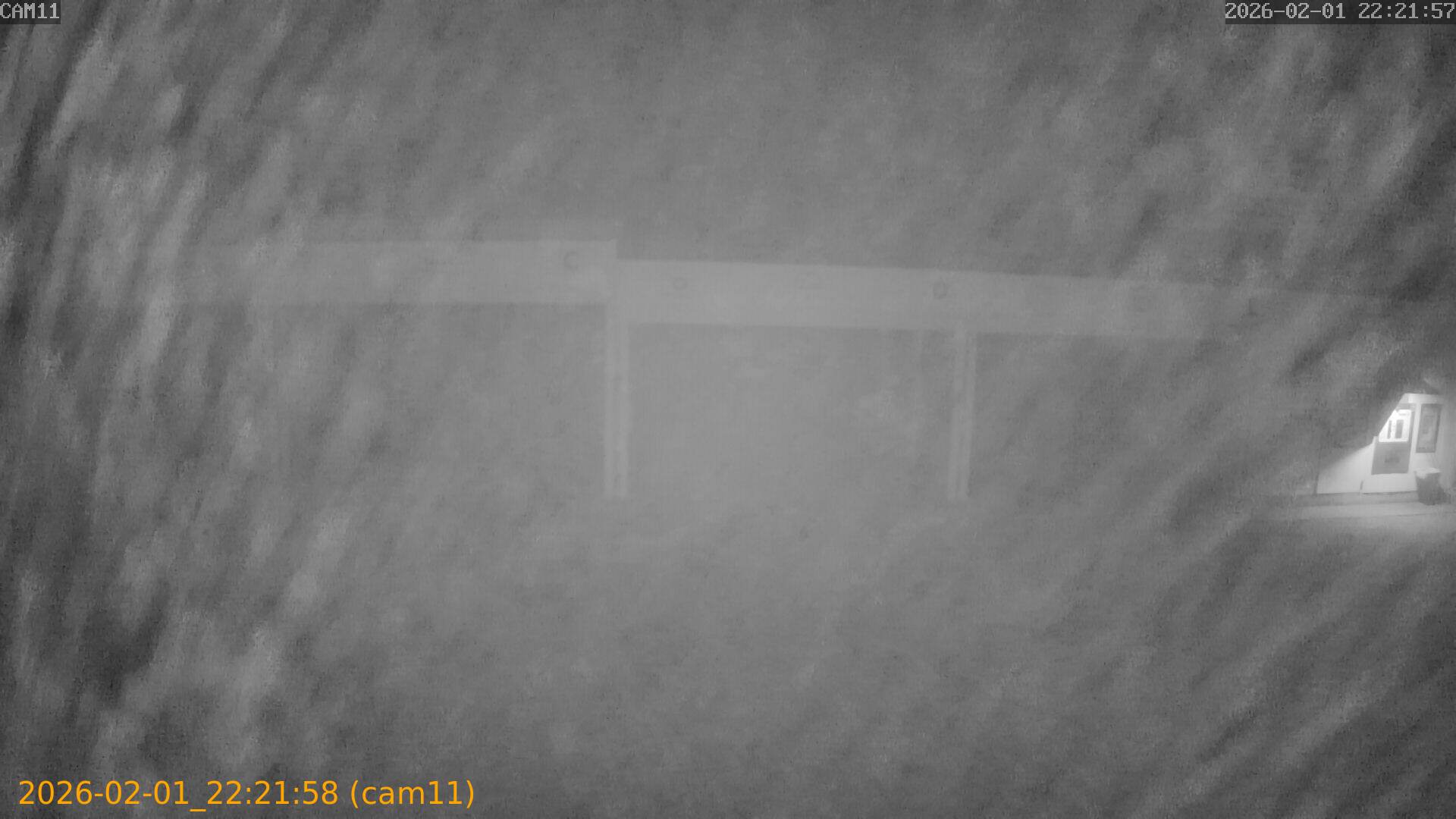 thumbnail_20260201222158