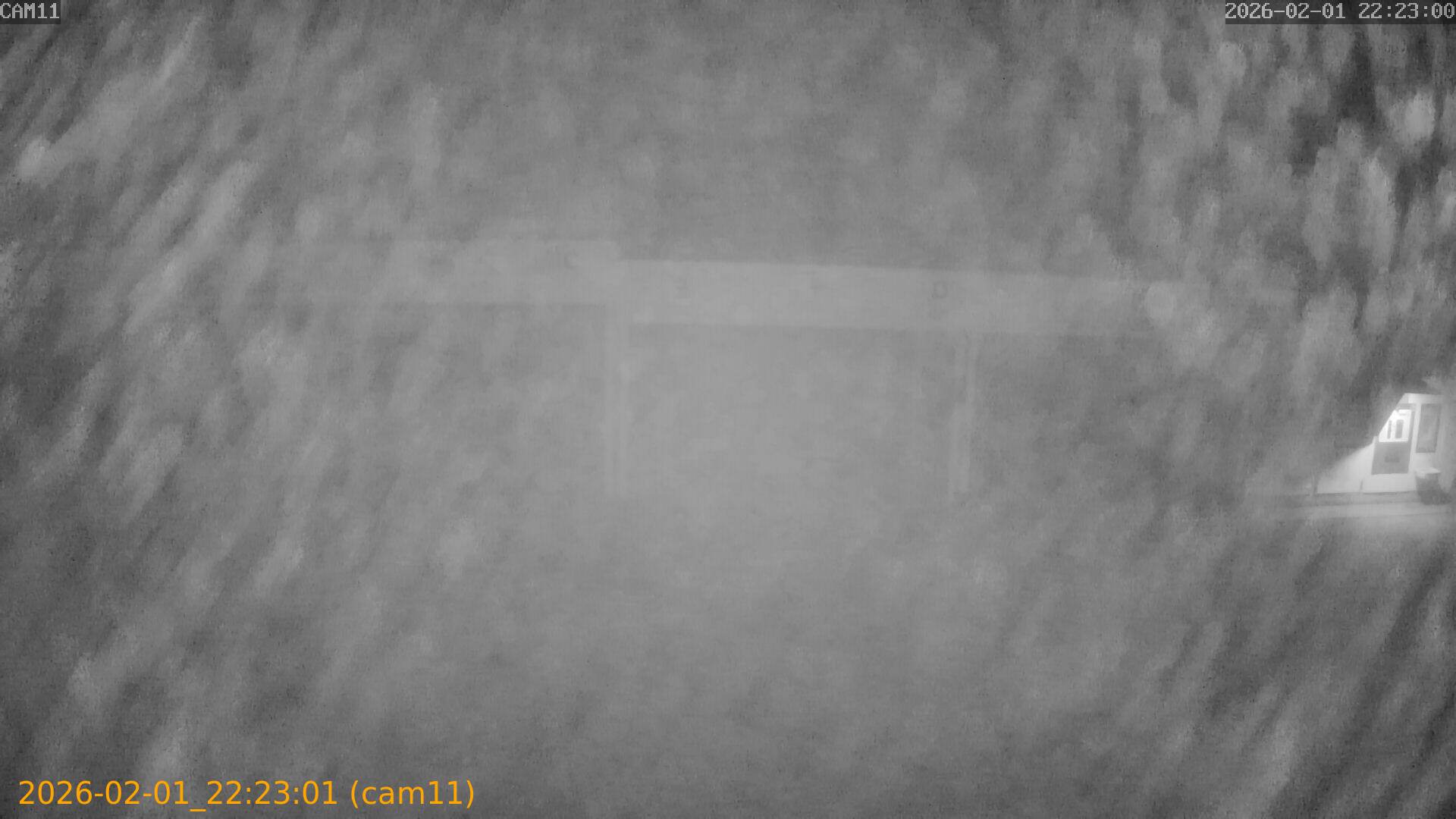 thumbnail_20260201222301