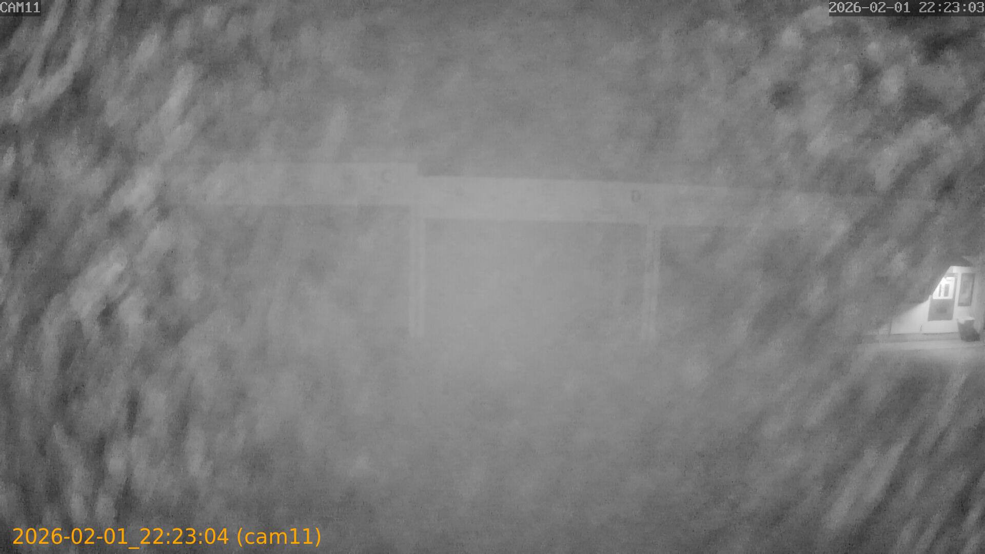 thumbnail_20260201222304