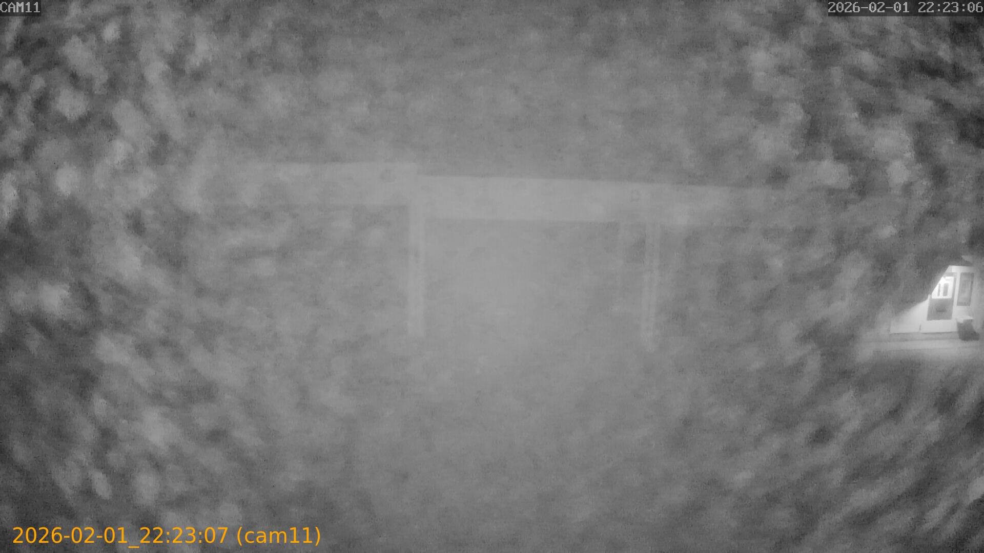 thumbnail_20260201222307