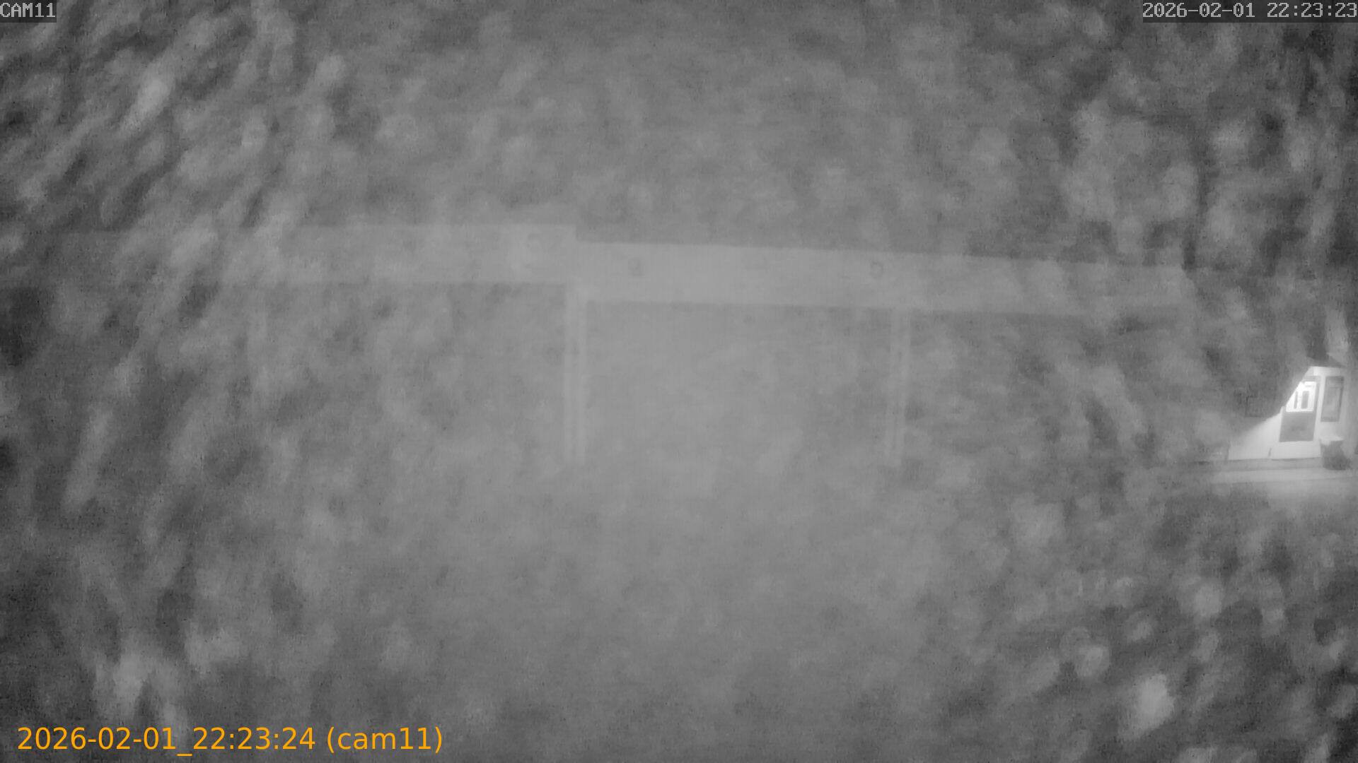 thumbnail_20260201222324