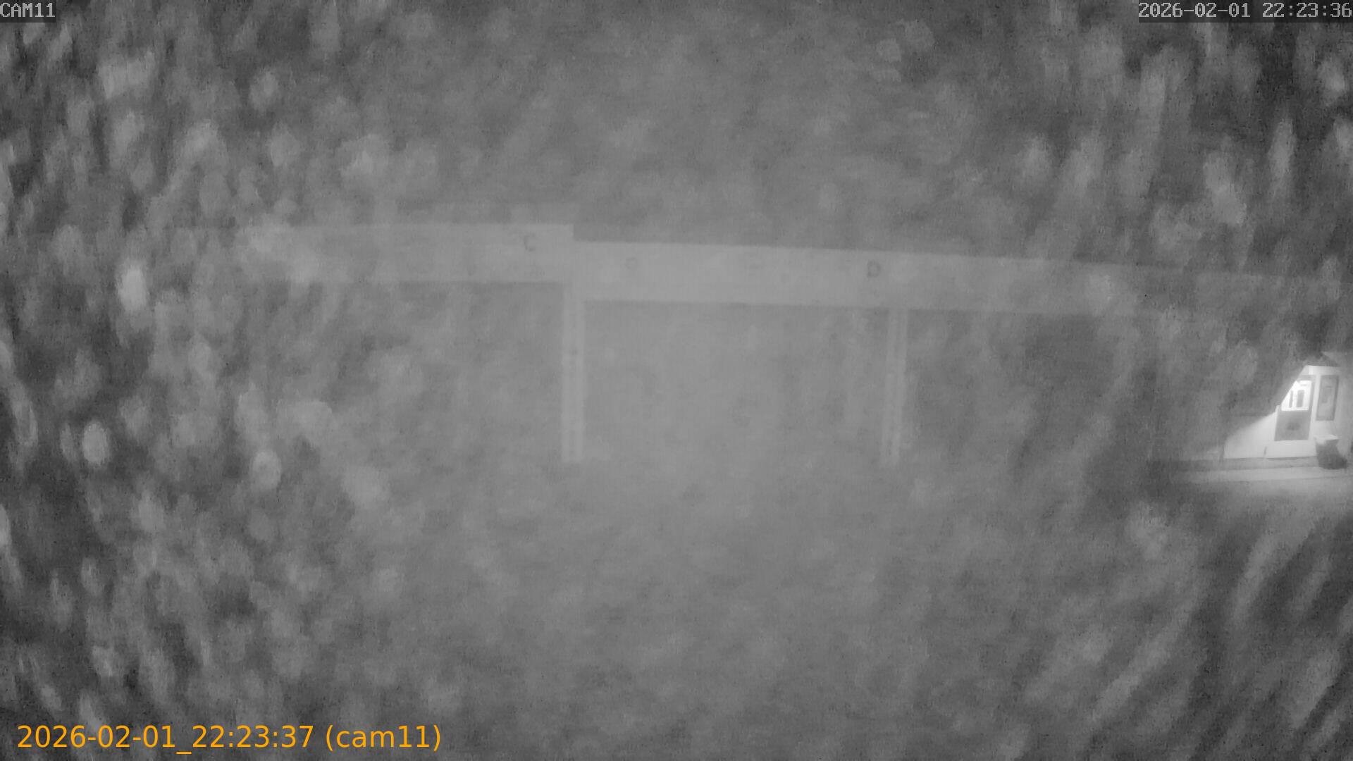 thumbnail_20260201222337