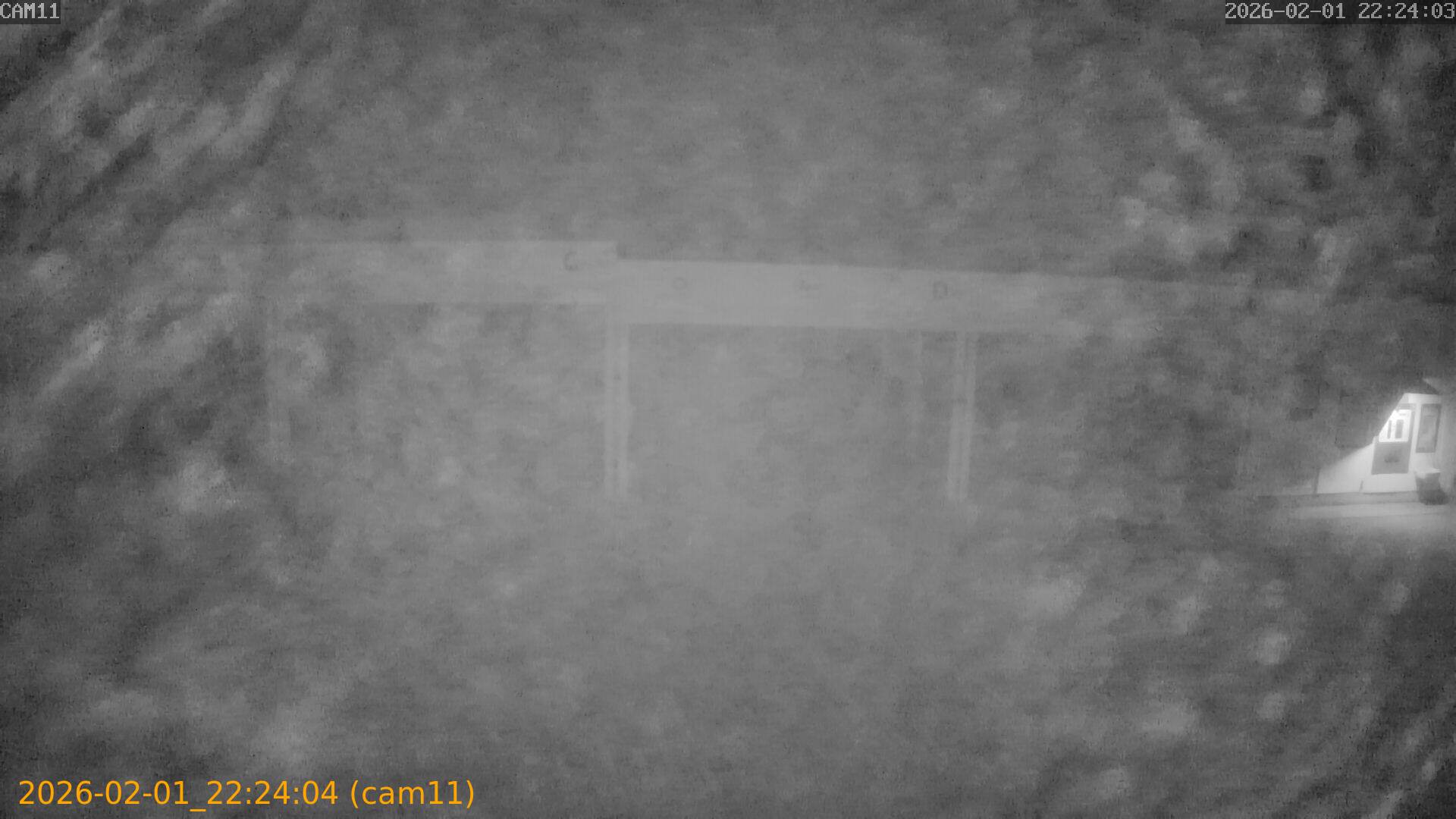 thumbnail_20260201222404