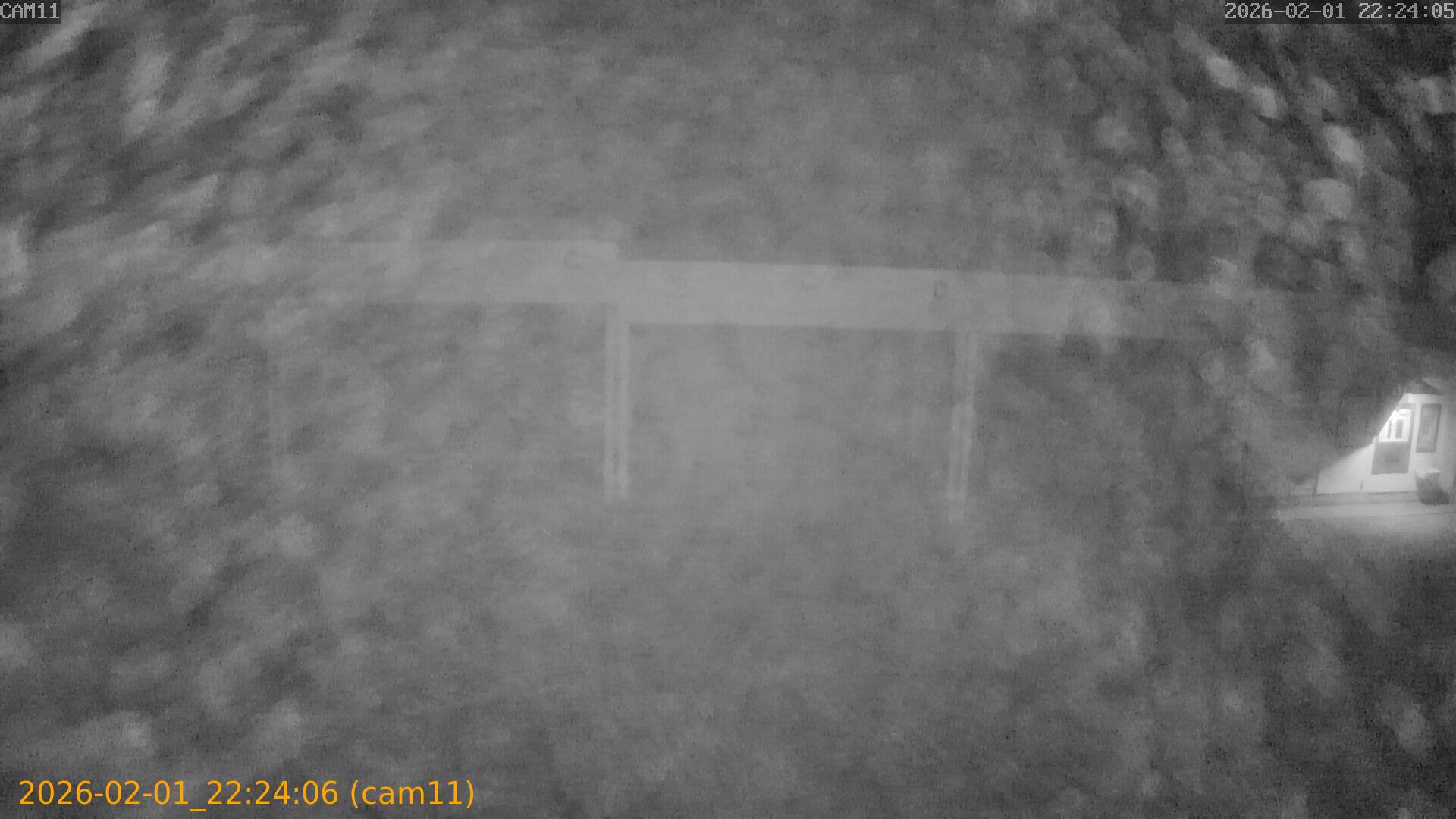 thumbnail_20260201222406