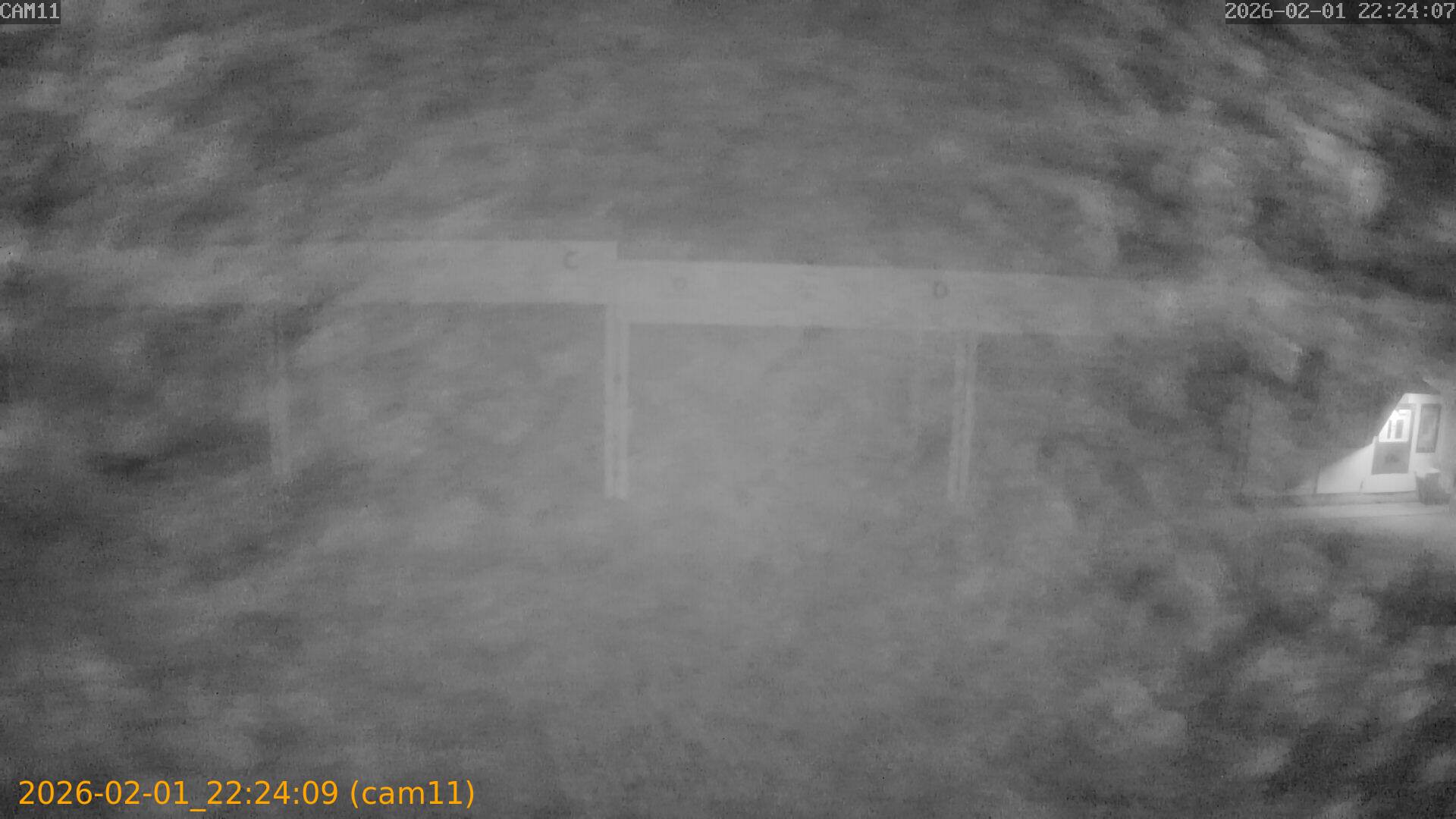 thumbnail_20260201222409