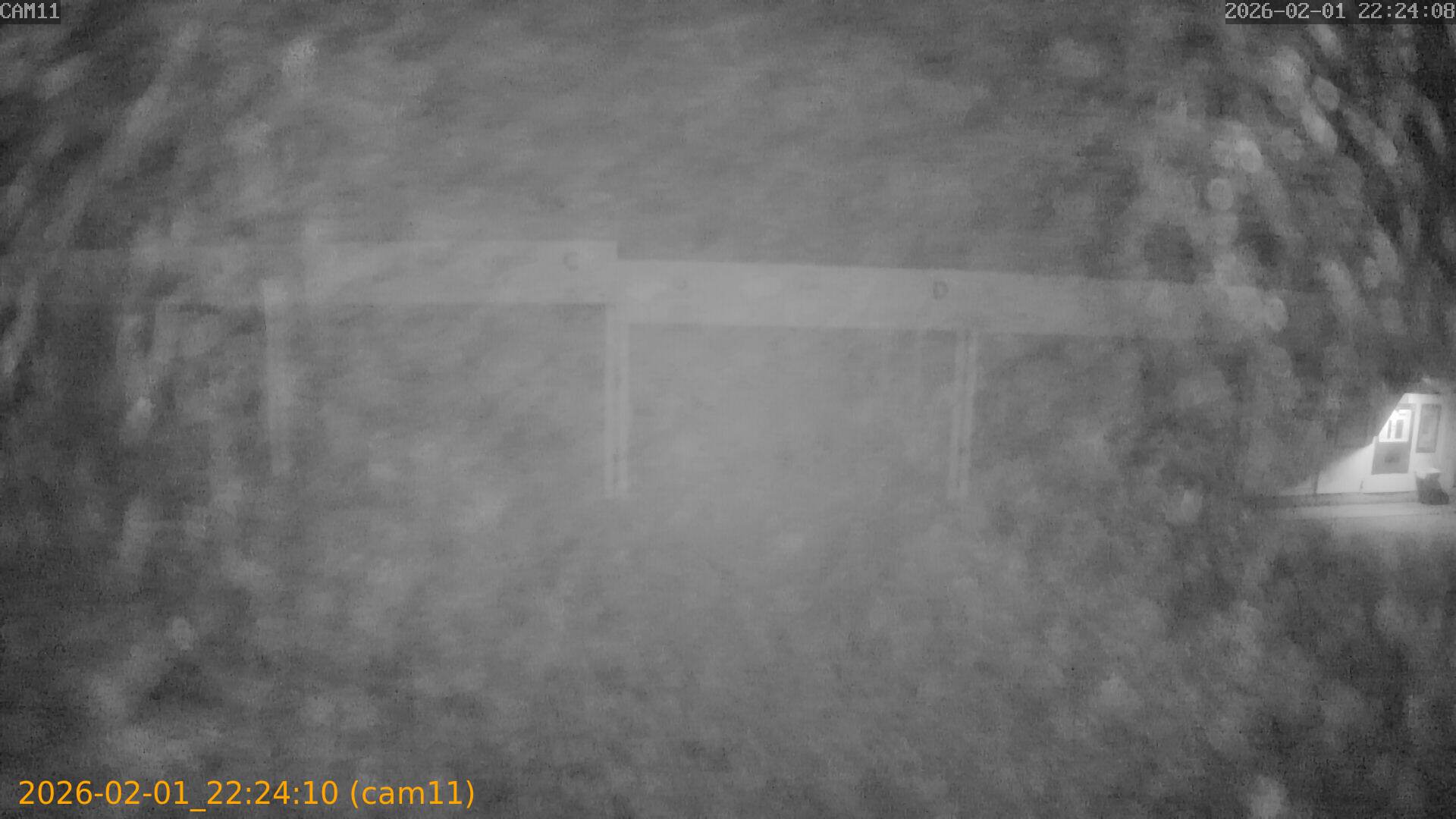 thumbnail_20260201222410