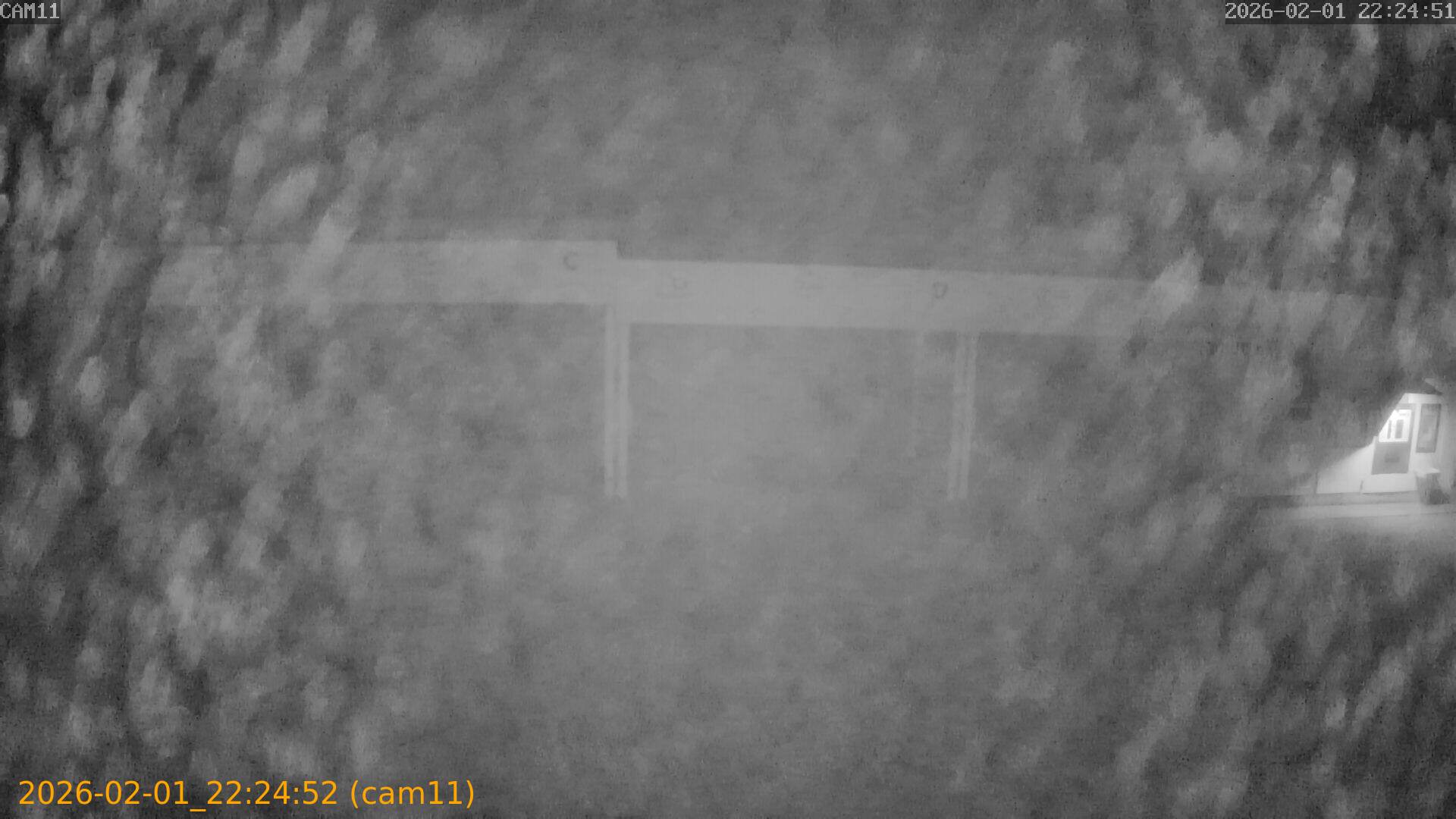 thumbnail_20260201222452