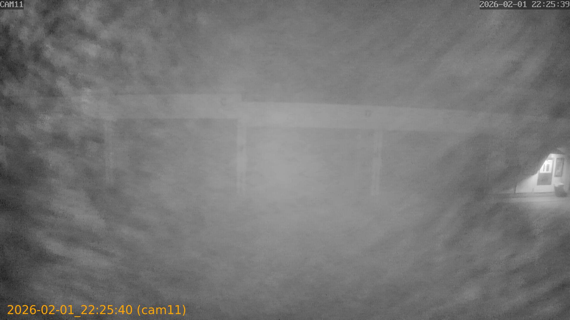 thumbnail_20260201222540