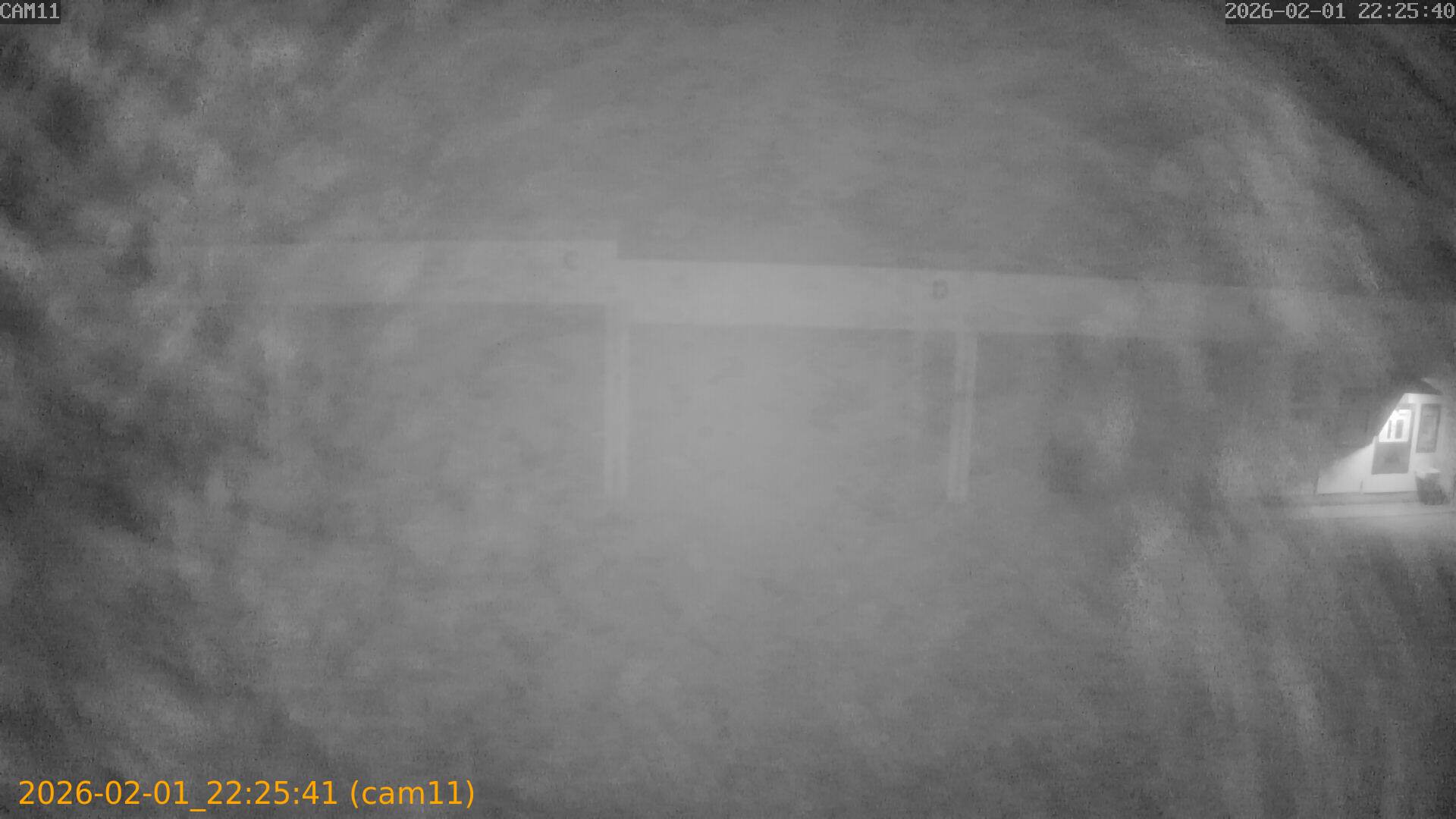 thumbnail_20260201222541