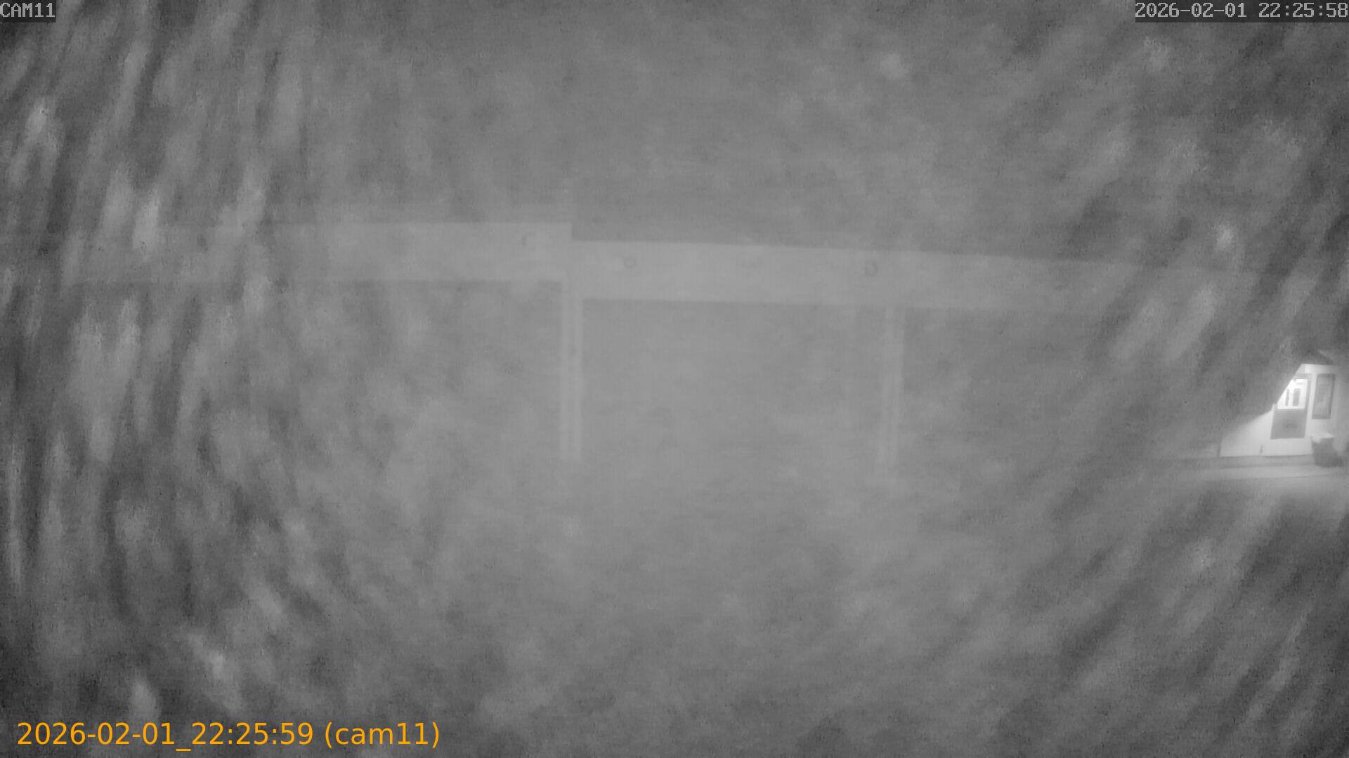 thumbnail_20260201222559