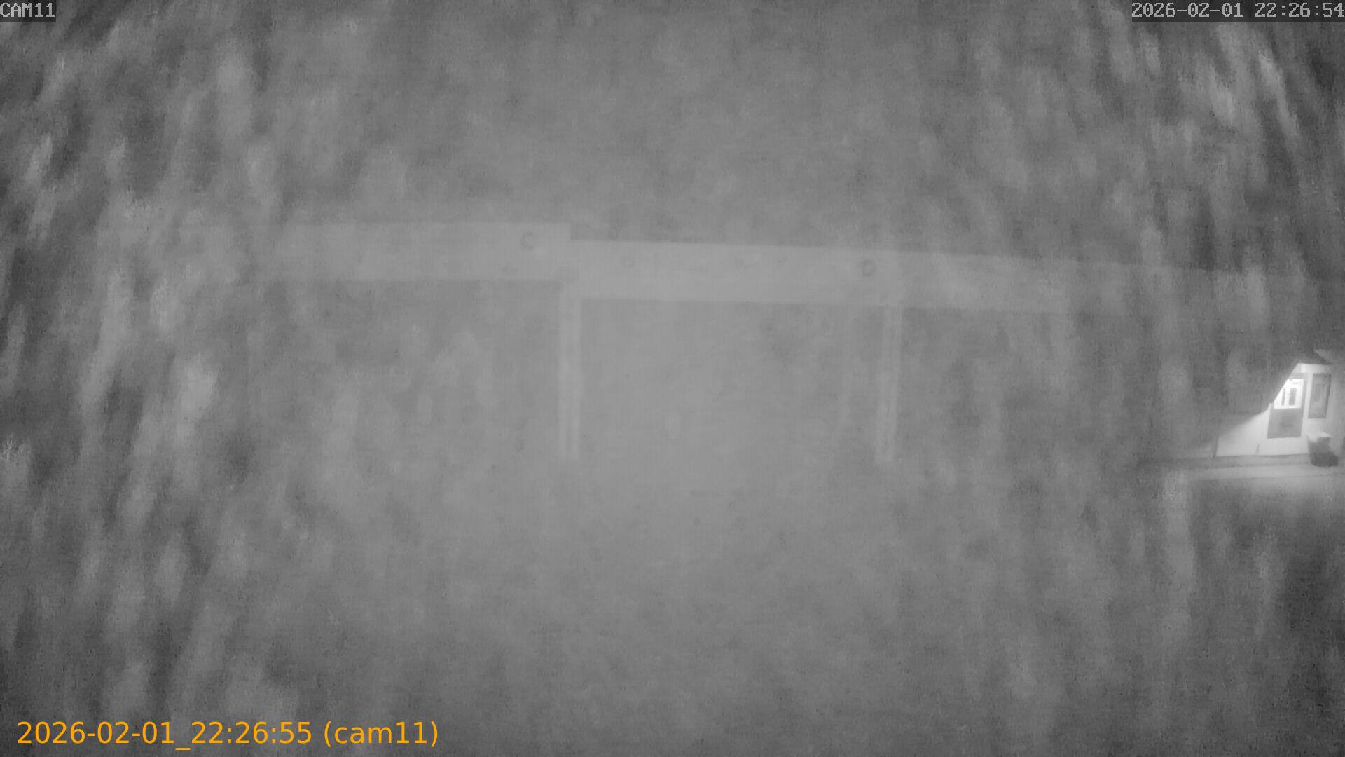 thumbnail_20260201222655