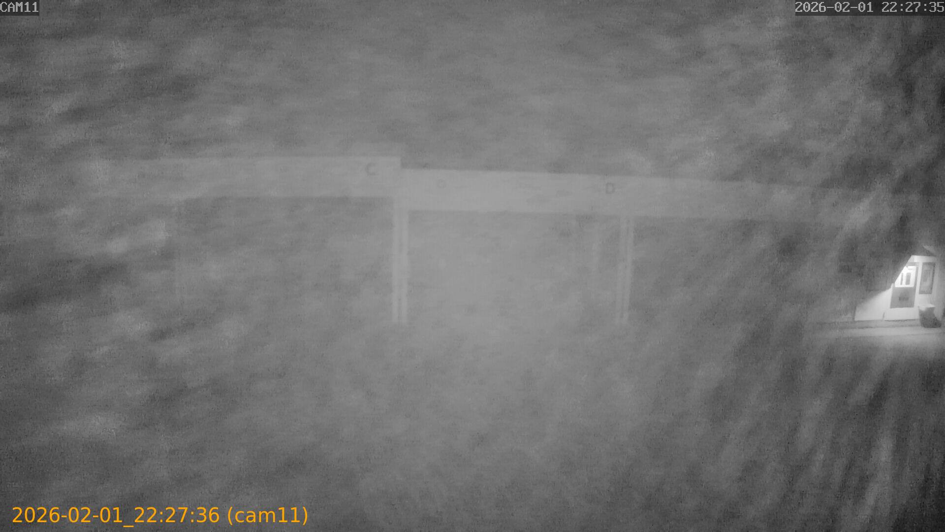 thumbnail_20260201222736