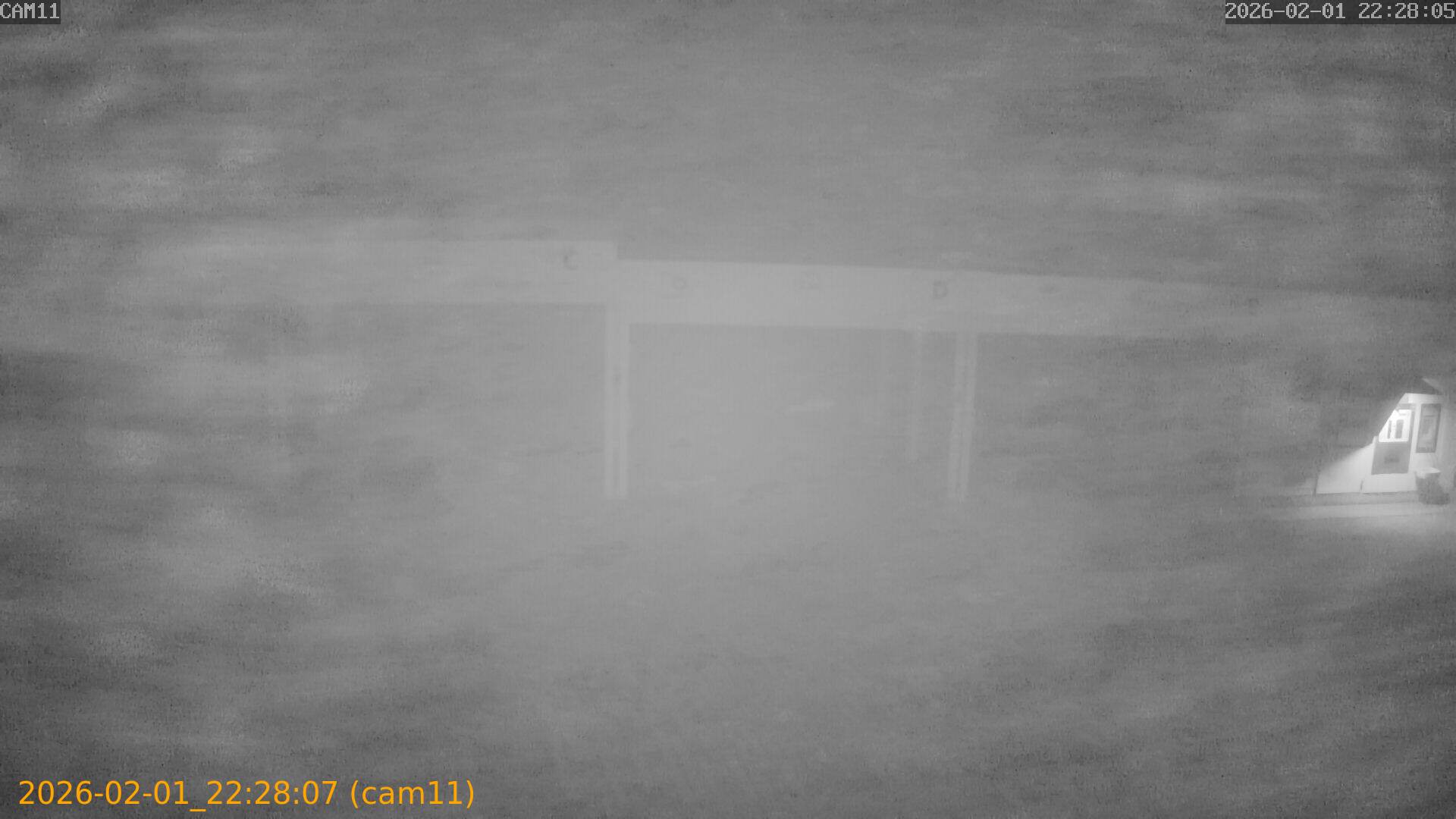 thumbnail_20260201222807