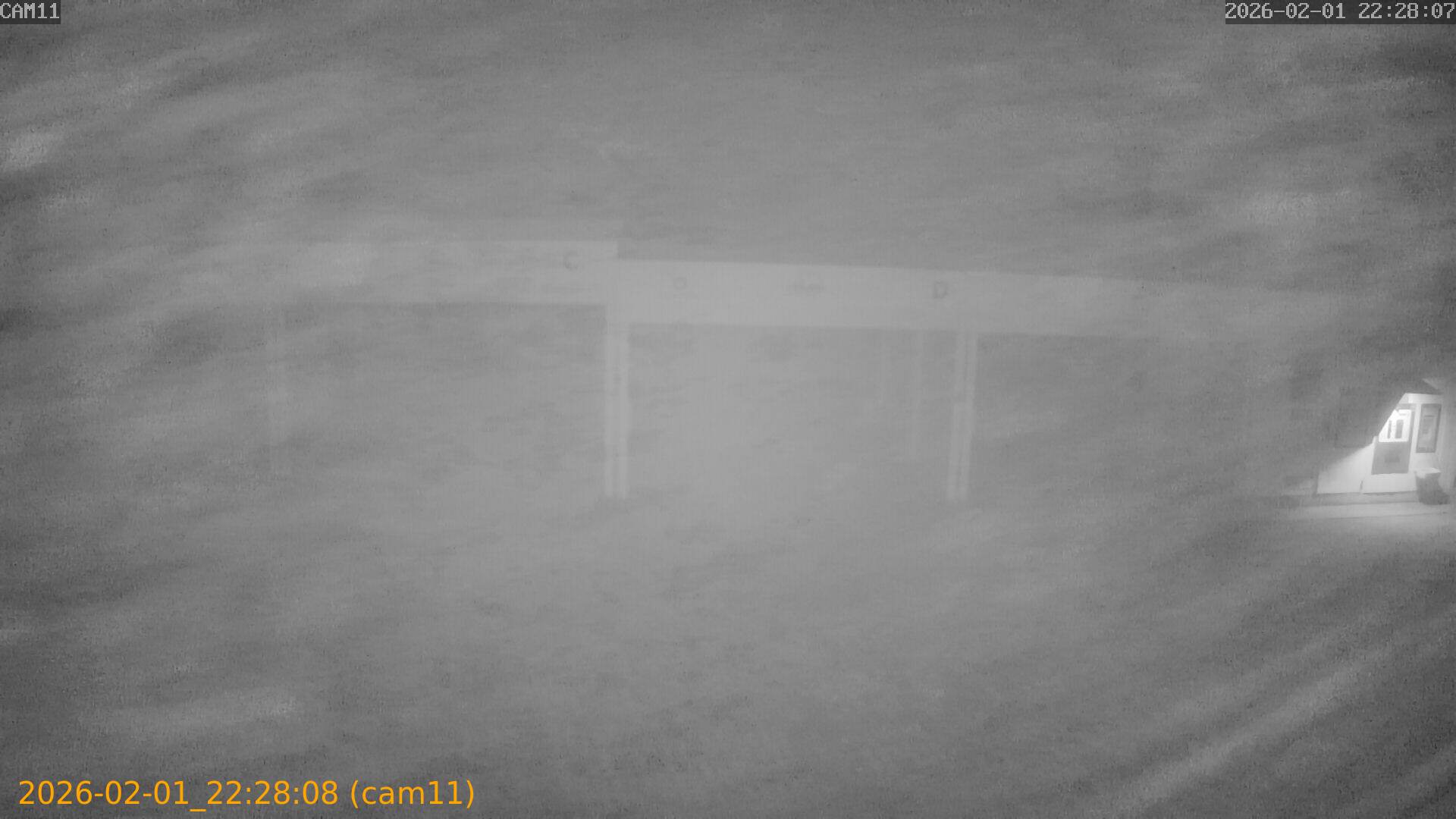 thumbnail_20260201222808