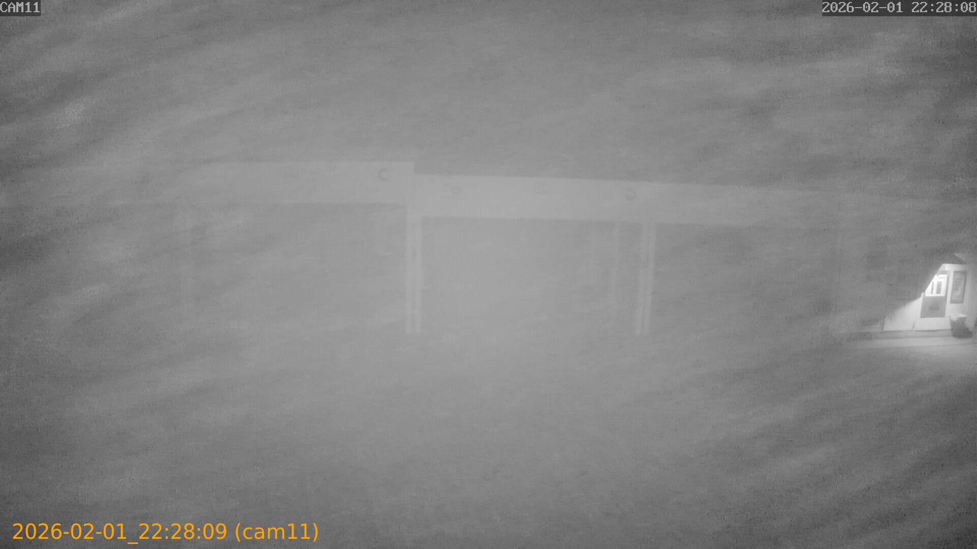 thumbnail_20260201222809