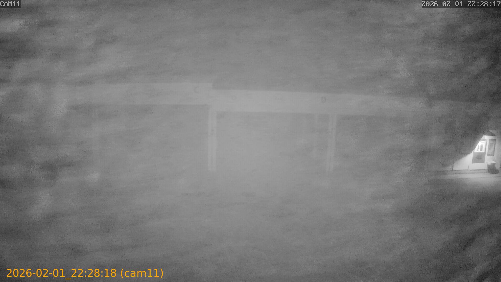 thumbnail_20260201222818