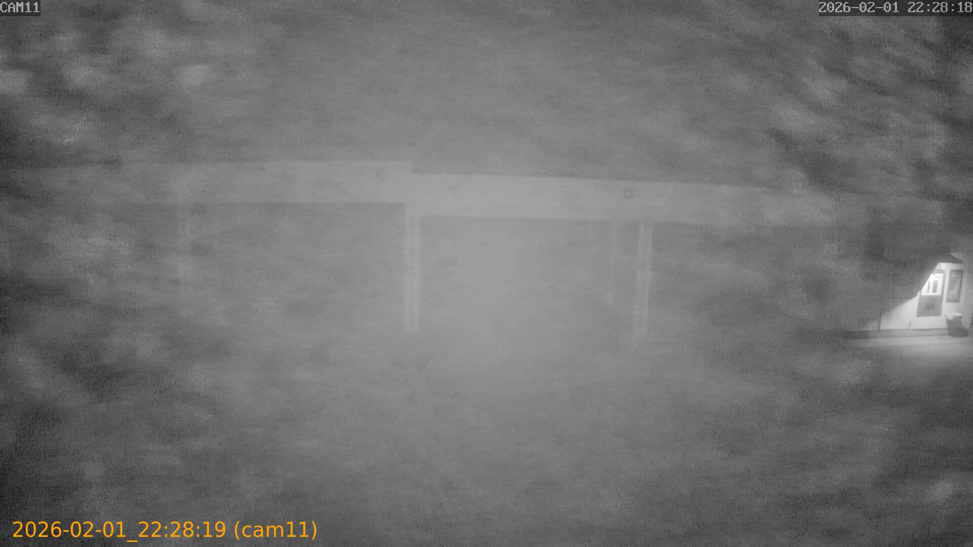 thumbnail_20260201222819