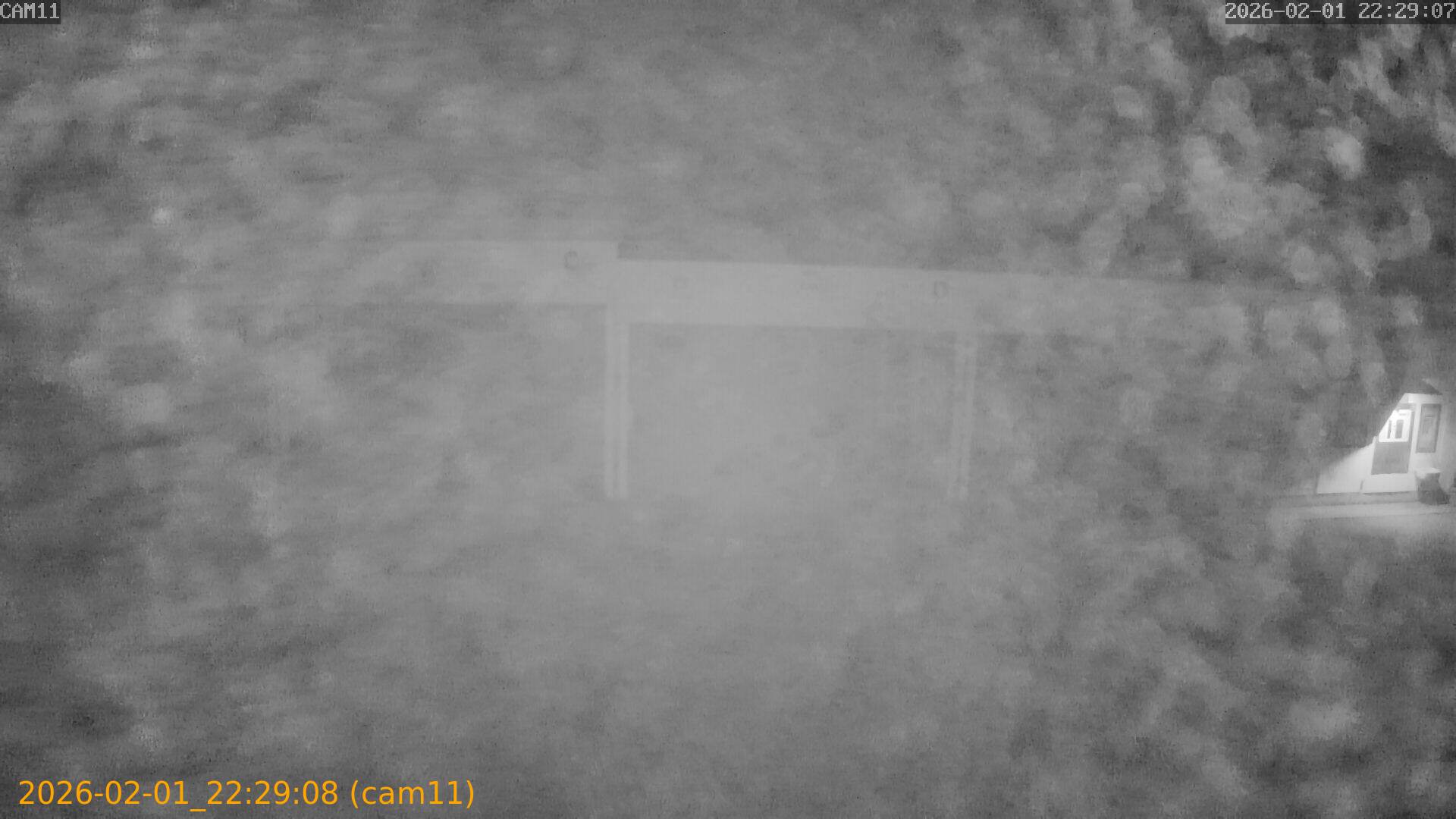 thumbnail_20260201222908