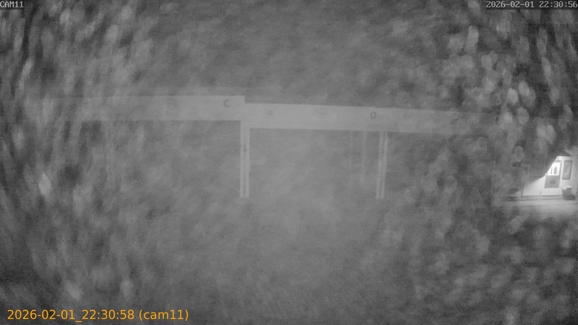 thumbnail_20260201223058