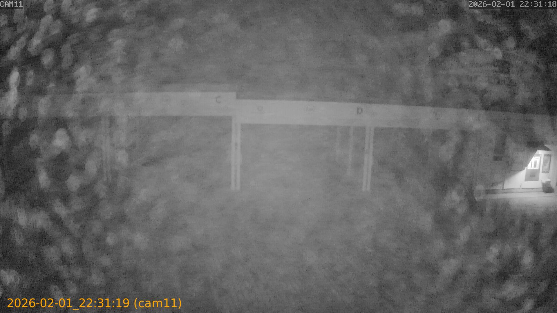 thumbnail_20260201223119